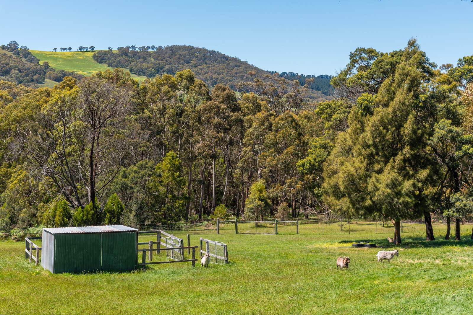 547 Pyalong Road, Lancefield For Sale by Farmbuy.com - image 23
