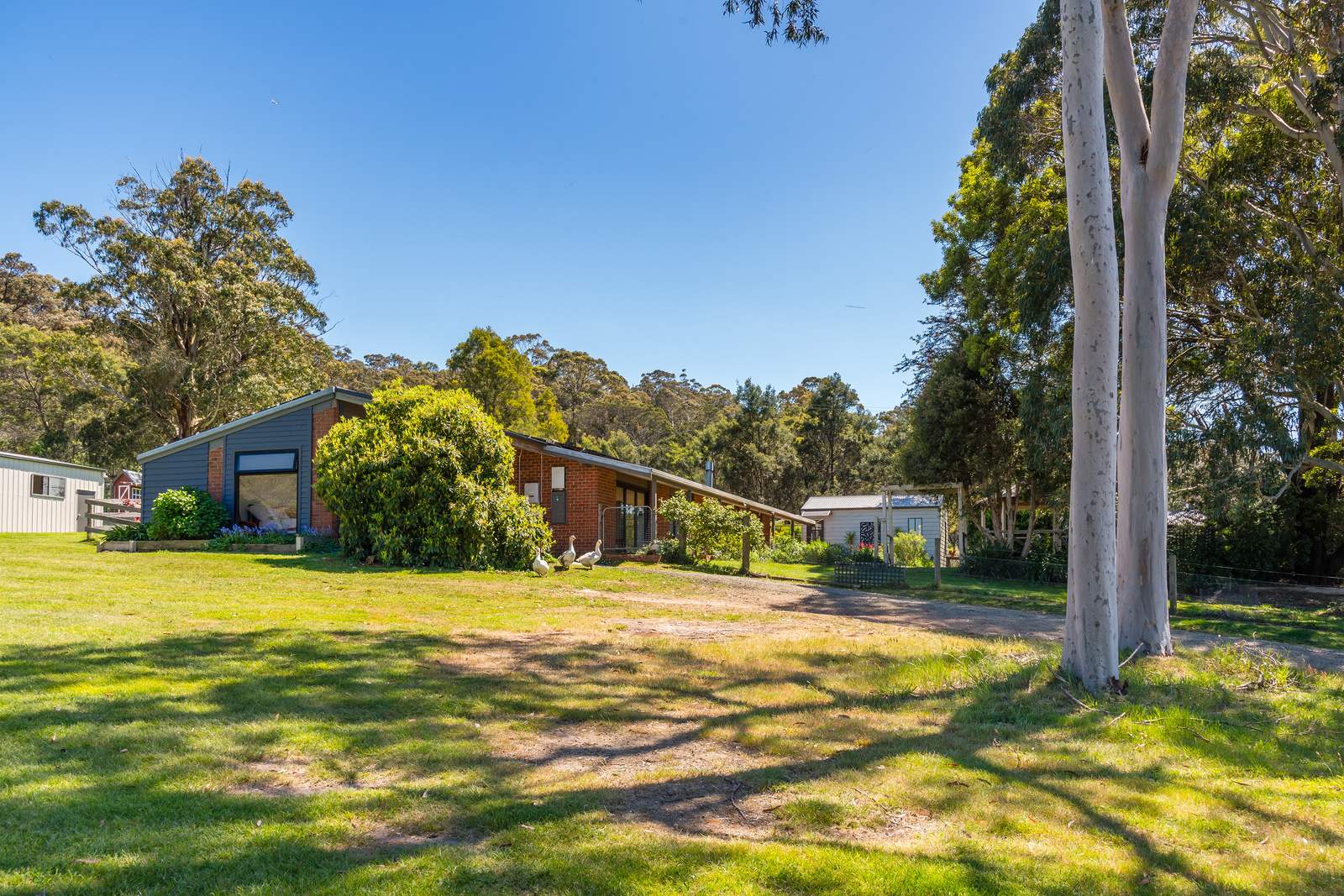 547 Pyalong Road, Lancefield For Sale by Farmbuy.com - image 6