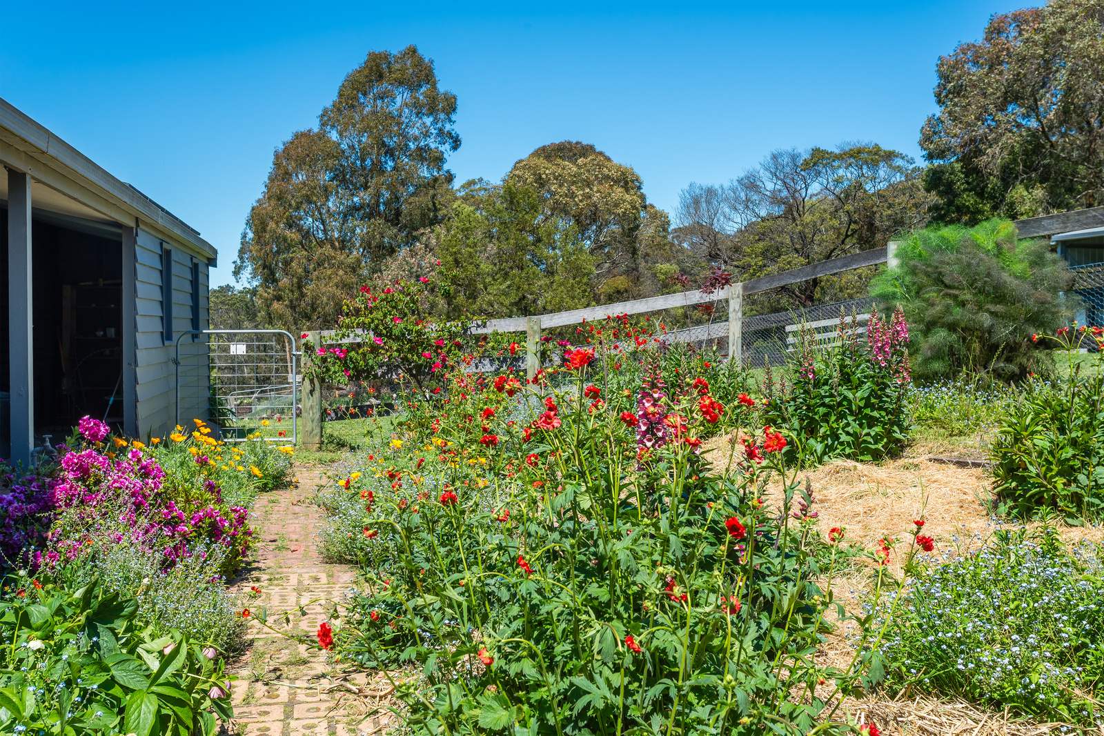 547 Pyalong Road, Lancefield For Sale by Farmbuy.com - image 25
