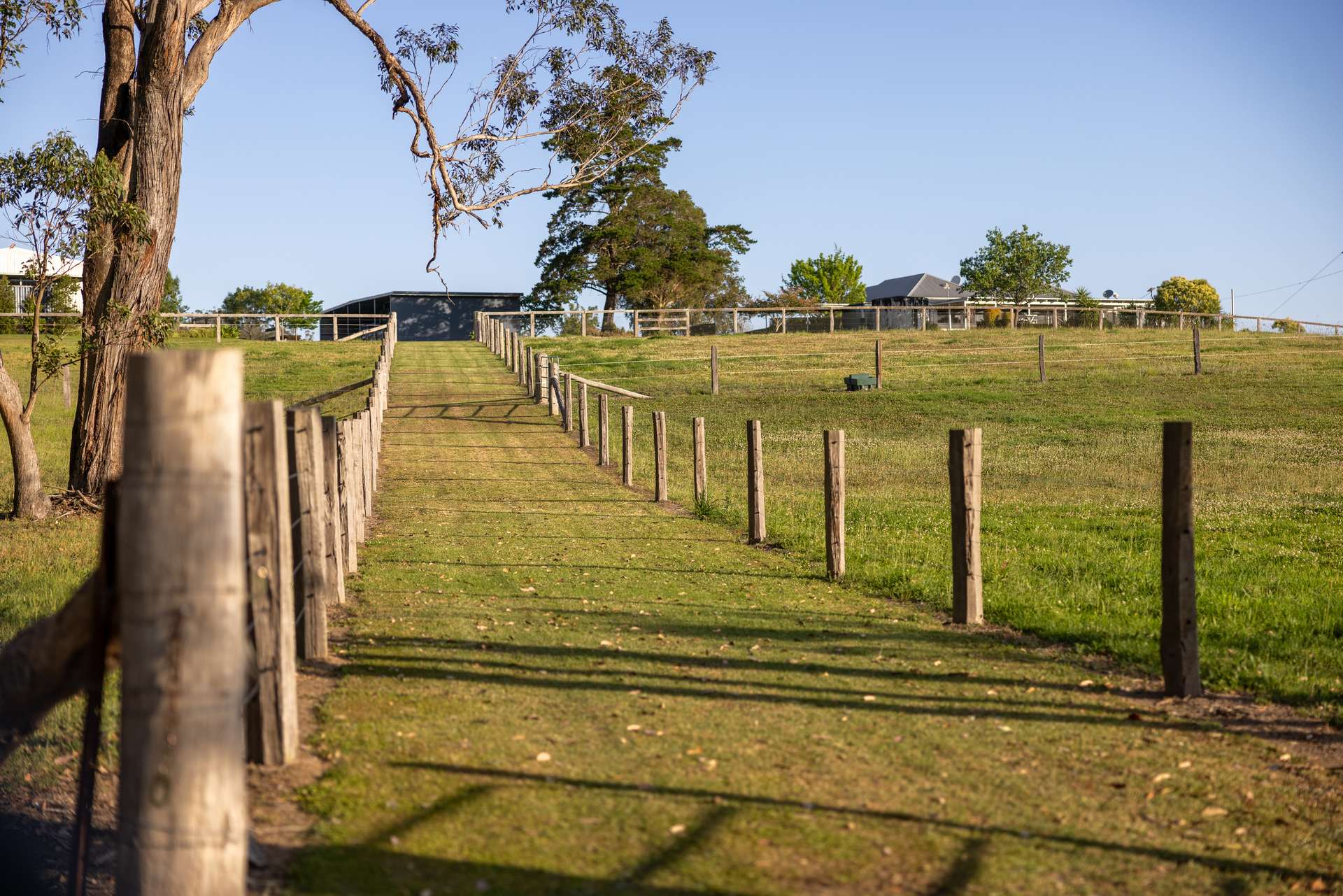 148 Mimi Creek Road, Firefly Auction by Farmbuy.com - image 21