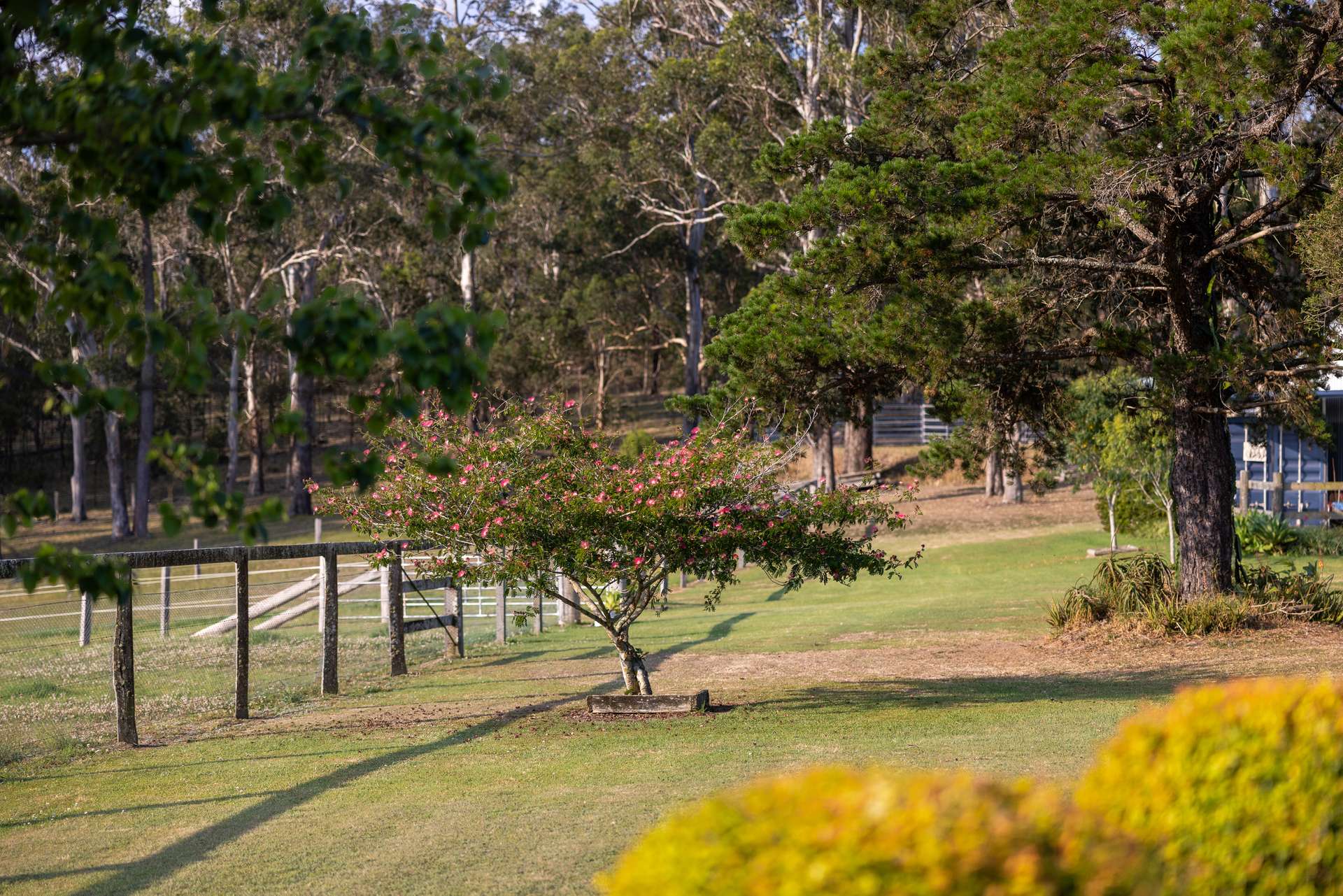 148 Mimi Creek Road, Firefly Auction by Farmbuy.com - image 19