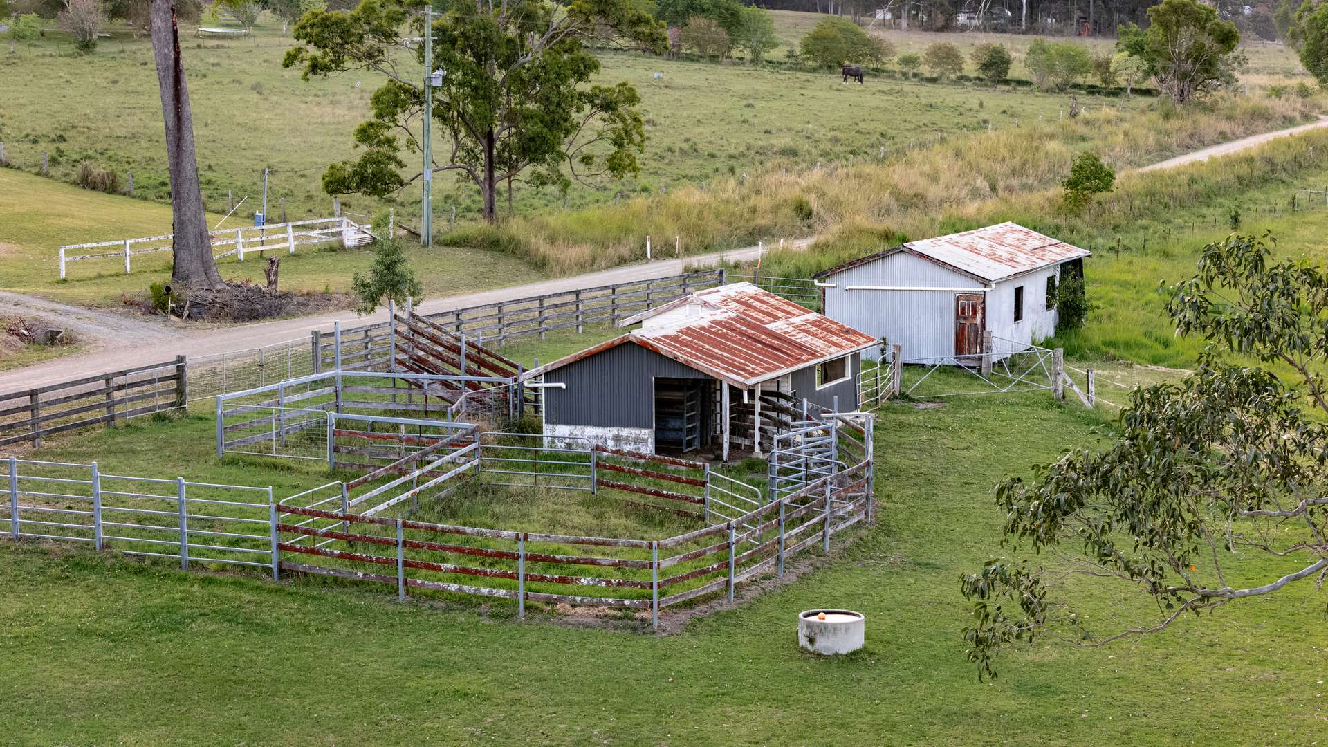148 Mimi Creek Road, Firefly Auction by Farmbuy.com - image 22