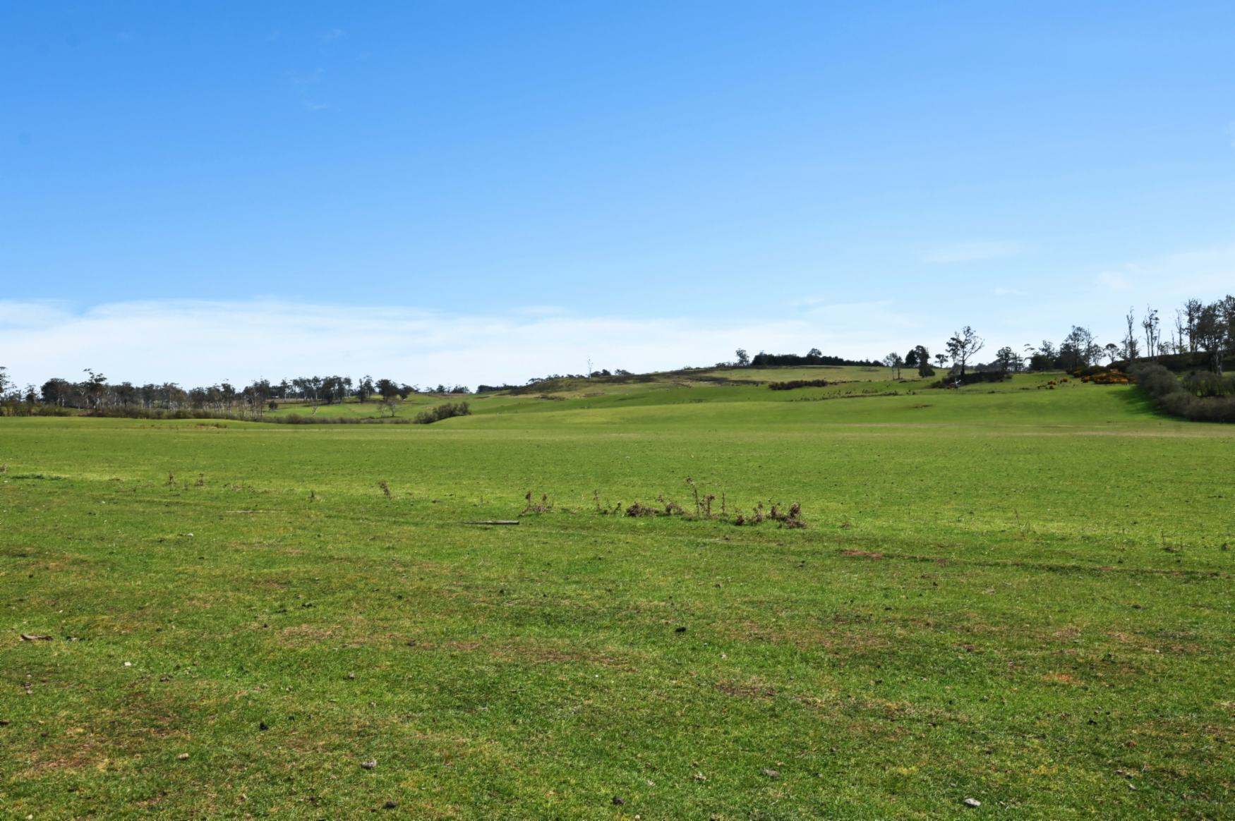 121 Ceres Road, Mount Seymour For Sale by Farmbuy.com - image 27