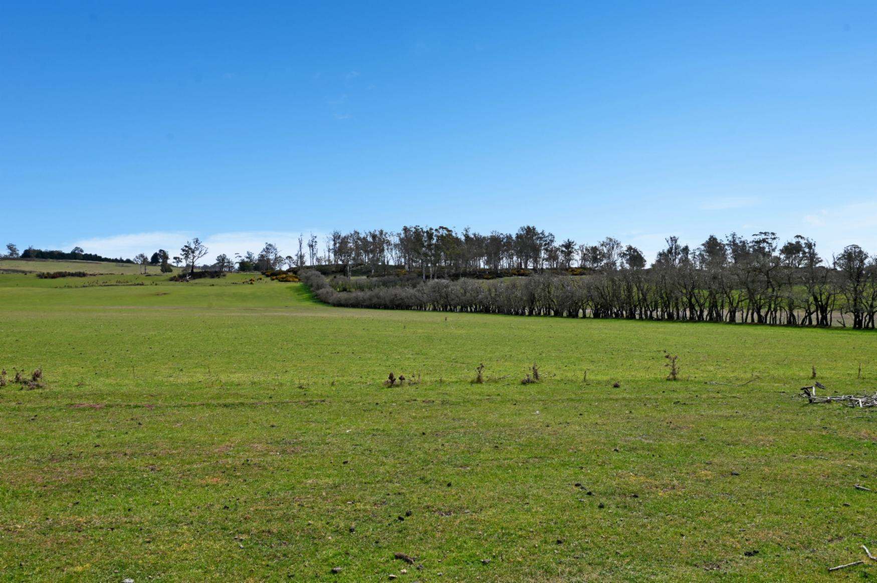 121 Ceres Road, Mount Seymour For Sale by Farmbuy.com - image 26