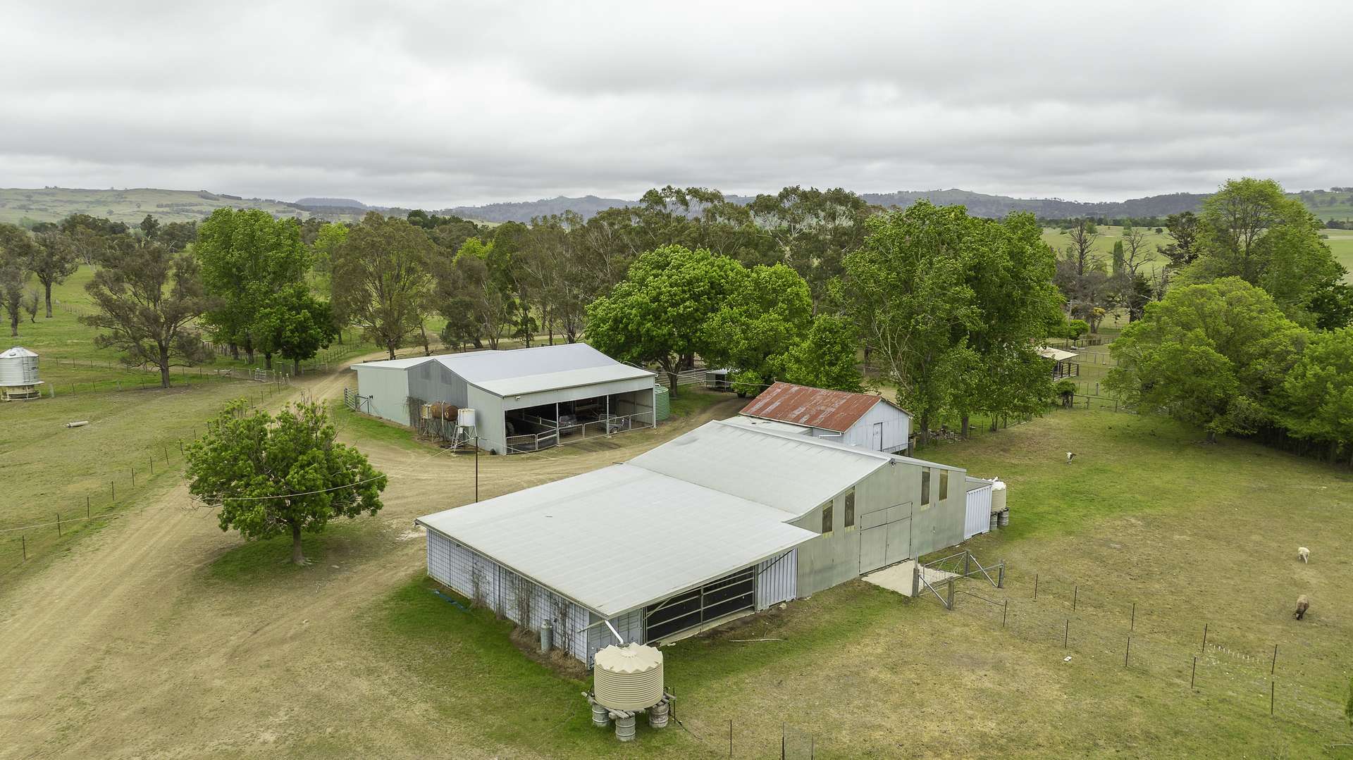 3214 Mount Mitchell Road, Glencoe Auction by Farmbuy.com - image 11