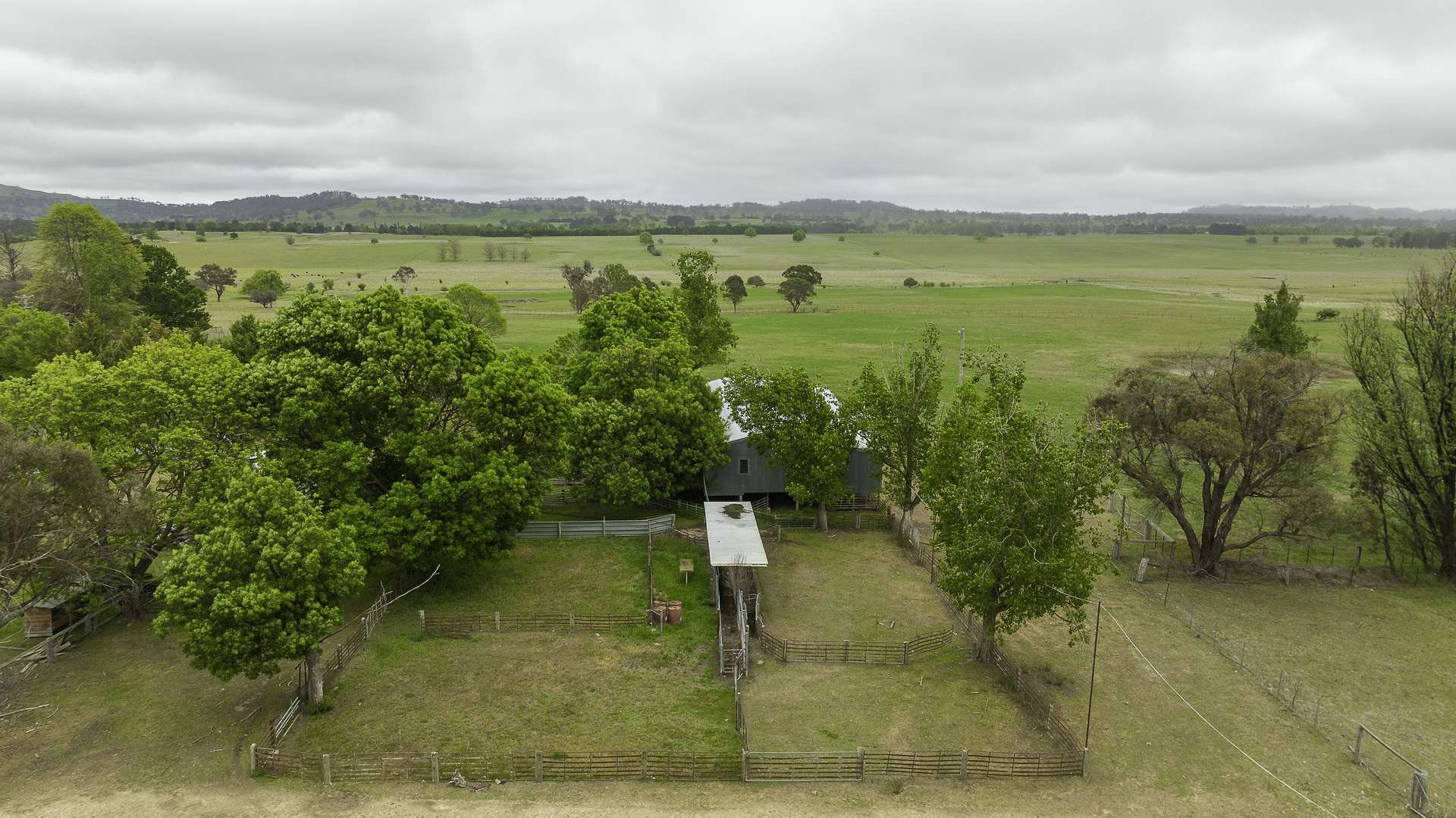 3214 Mount Mitchell Road, Glencoe Auction by Farmbuy.com - image 12
