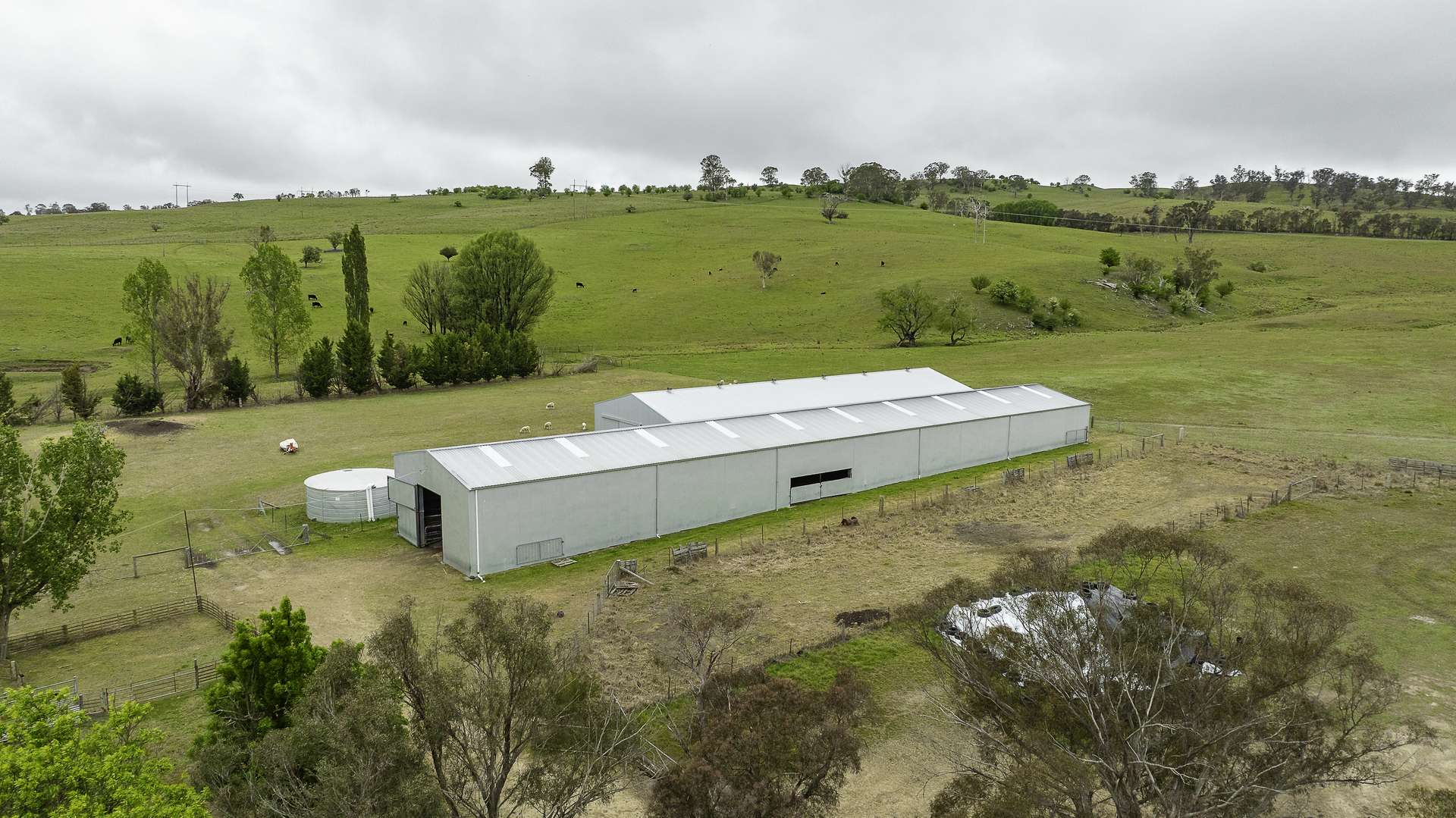3214 Mount Mitchell Road, Glencoe Auction by Farmbuy.com - image 8
