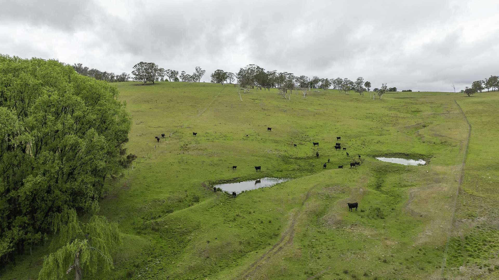 3214 Mount Mitchell Road, Glencoe Auction by Farmbuy.com - image 21