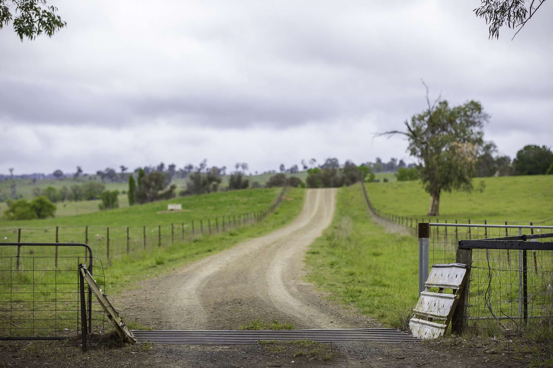 3214 Mount Mitchell Road, Glencoe Auction by Farmbuy.com - image 15