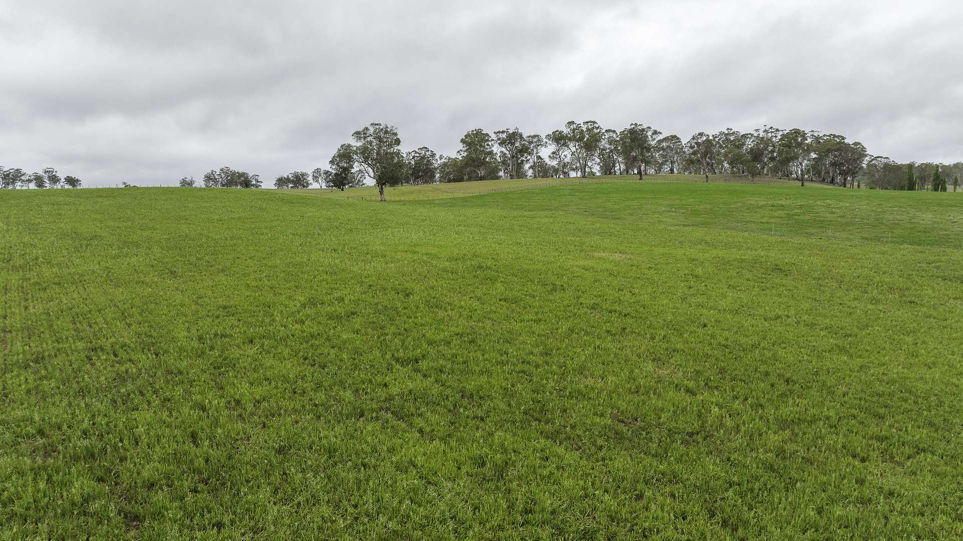 3214 Mount Mitchell Road, Glencoe Auction by Farmbuy.com - image 20
