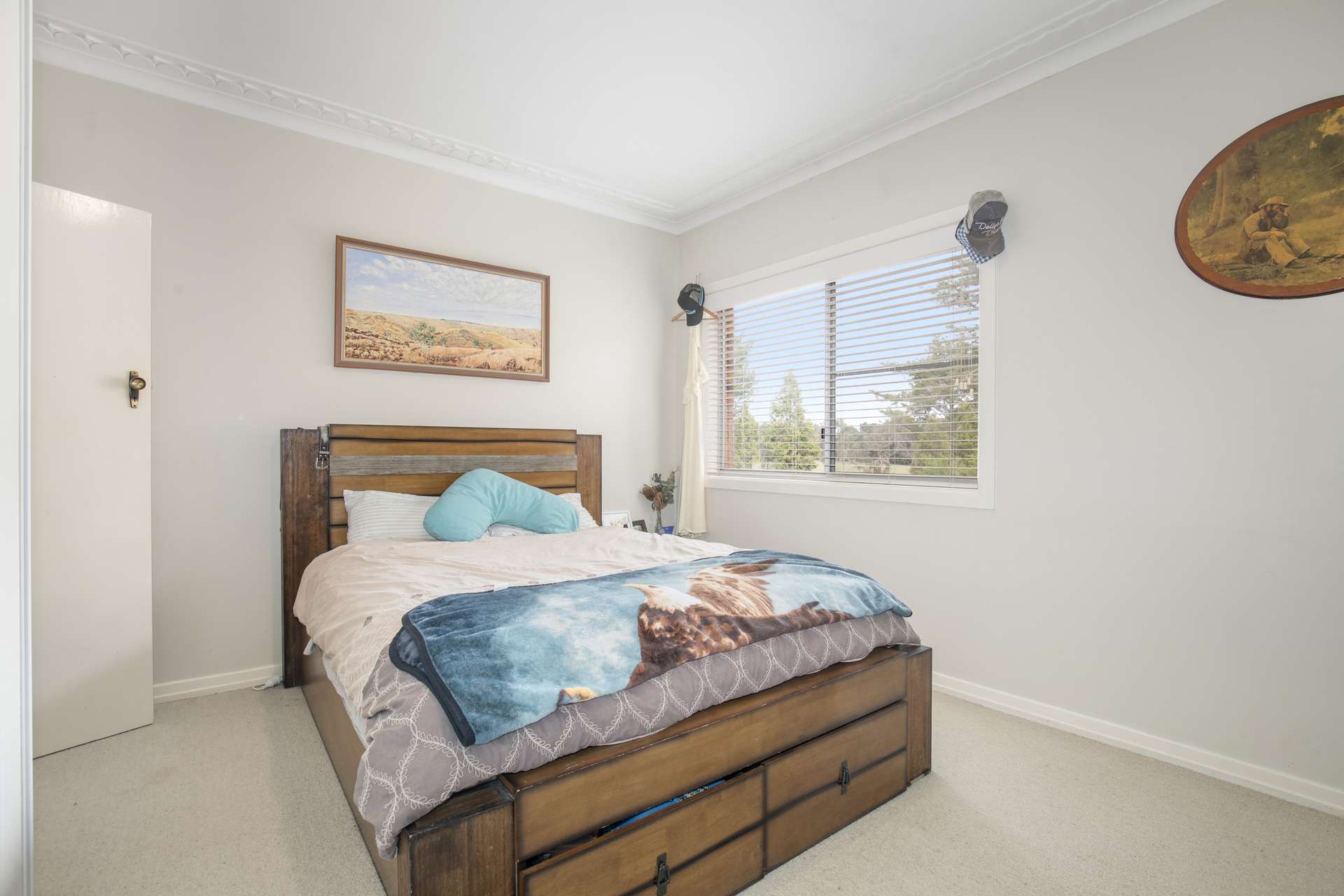 3214 Mount Mitchell Road, Glencoe Auction by Farmbuy.com - image 4