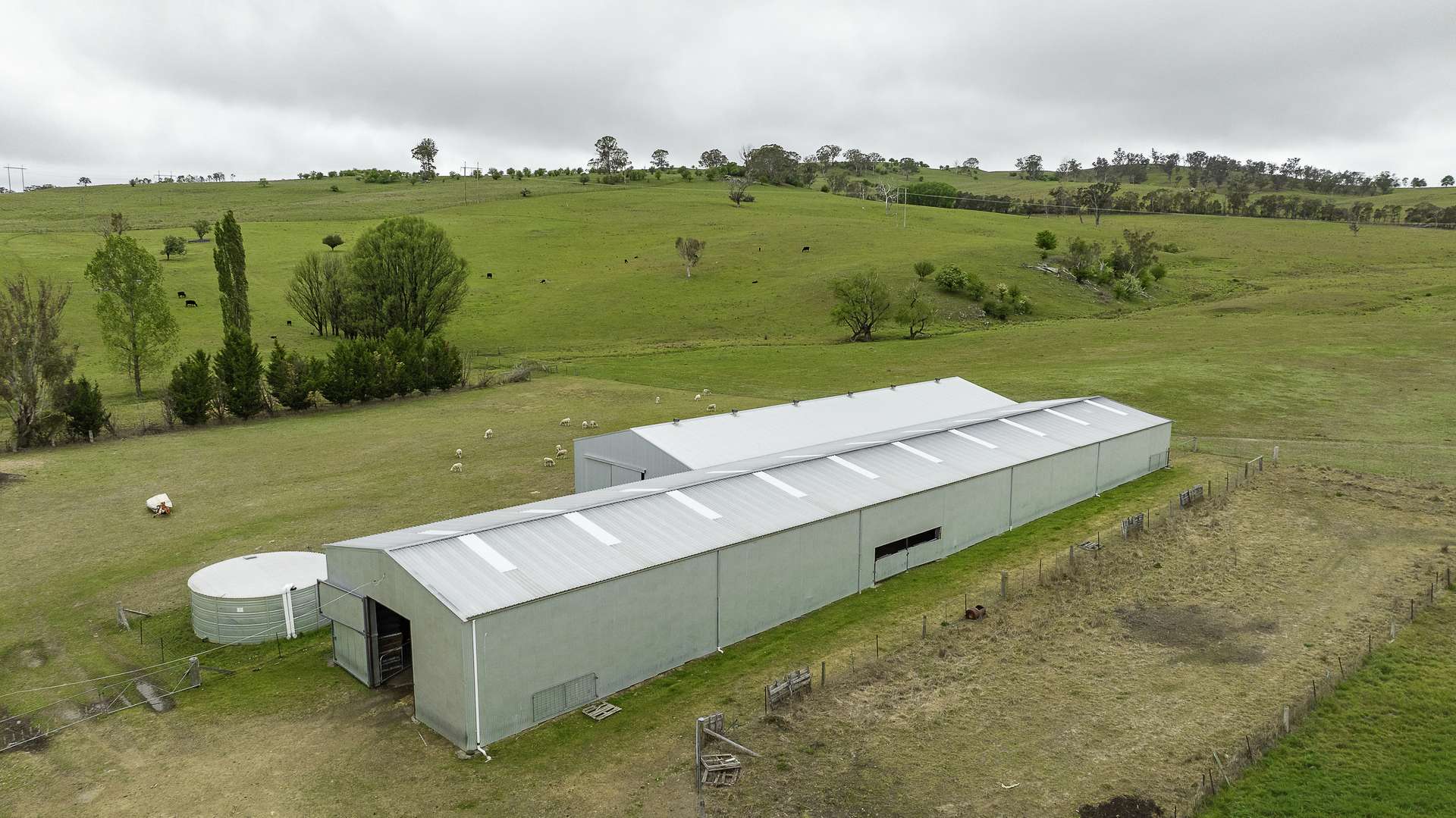 3214 Mount Mitchell Road, Glencoe Auction by Farmbuy.com - image 7