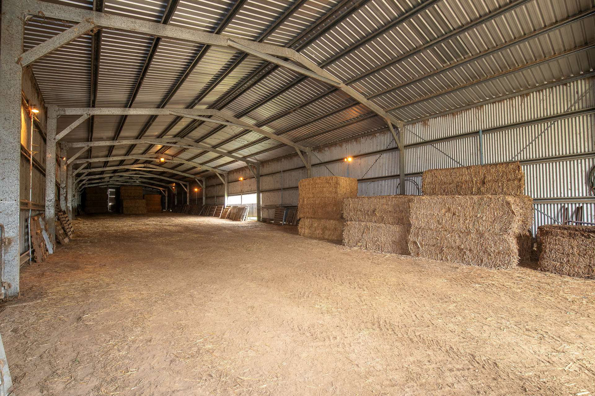 3214 Mount Mitchell Road, Glencoe Auction by Farmbuy.com - image 9