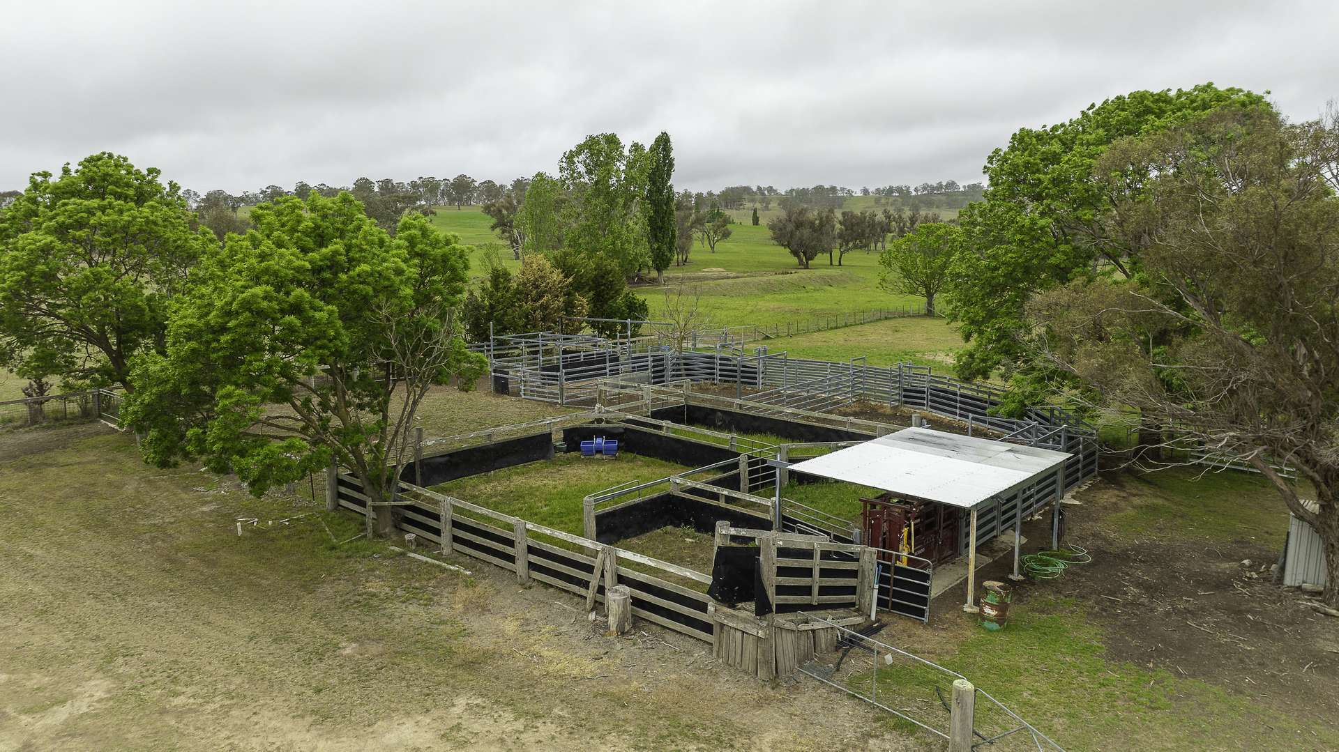 3214 Mount Mitchell Road, Glencoe Auction by Farmbuy.com - image 10
