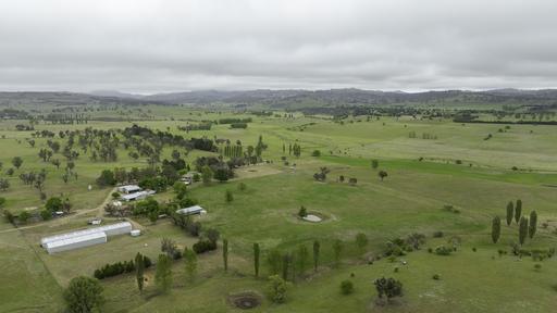 Farm Auction - NSW - Glencoe - 2365 - Blue-Ribbon Tightly Held New England Grazing. 
