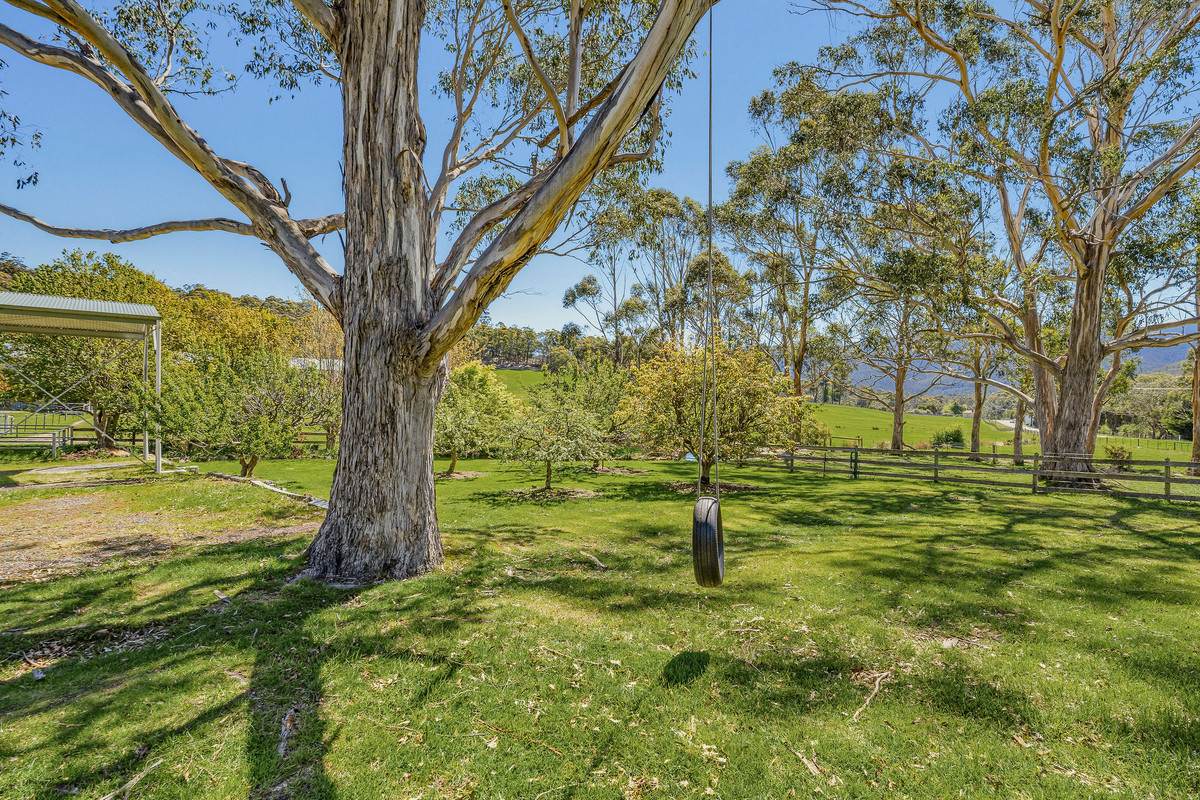 10 Allens Rivulet Road, Allens Rivulet For Sale by Farmbuy.com - image 30