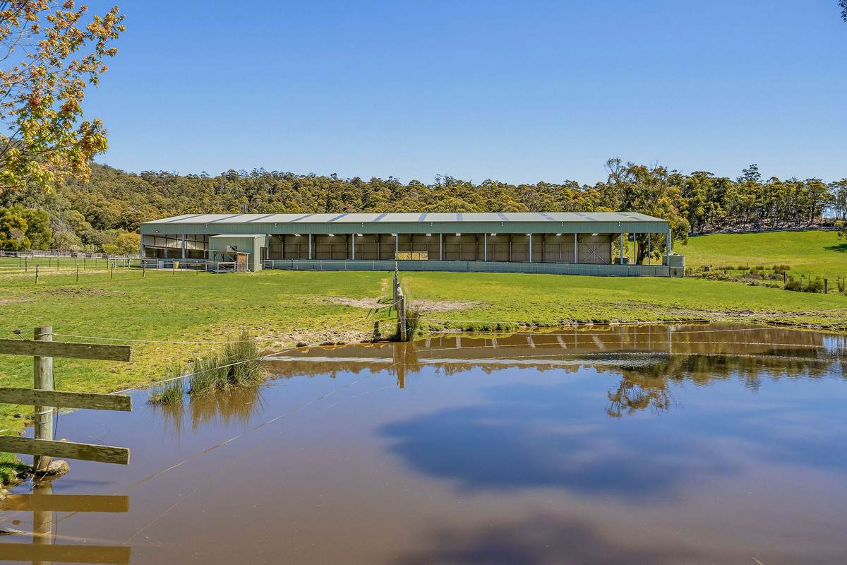 10 Allens Rivulet Road, Allens Rivulet For Sale by Farmbuy.com - image 8