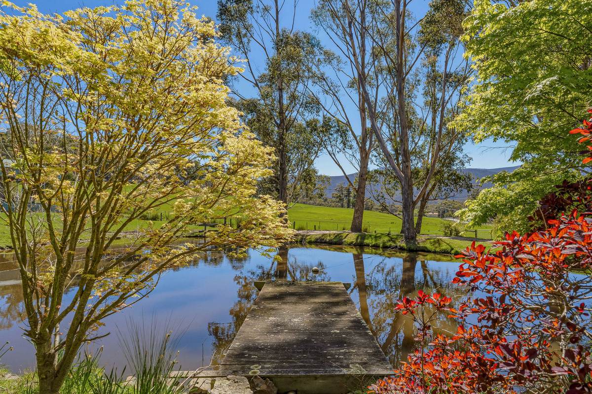 10 Allens Rivulet Road, Allens Rivulet For Sale by Farmbuy.com - image 7