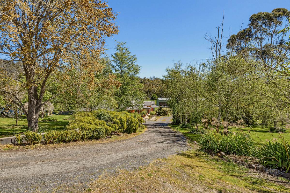 10 Allens Rivulet Road, Allens Rivulet For Sale by Farmbuy.com - image 26