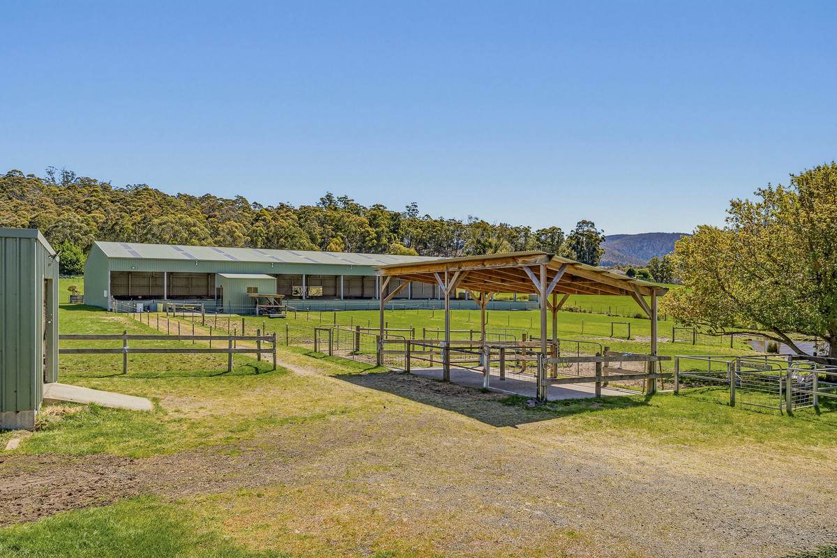 10 Allens Rivulet Road, Allens Rivulet For Sale by Farmbuy.com - image 9