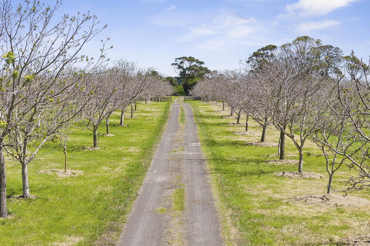 815 & 825 Nalangil Road, Corunnun For Sale by Farmbuy.com - image 2