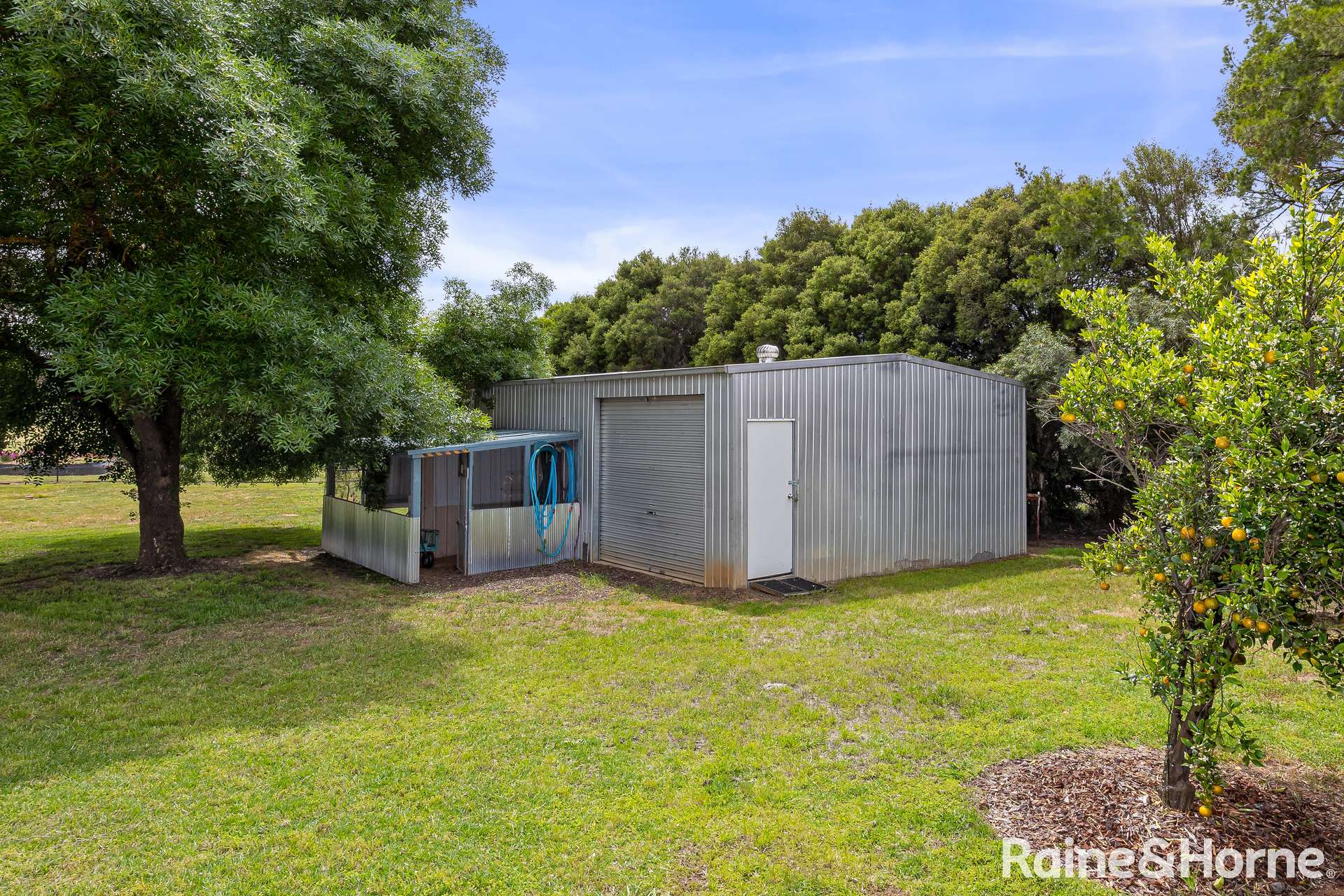 17 Maple Road, Lake Albert For Sale by Farmbuy.com - image 18