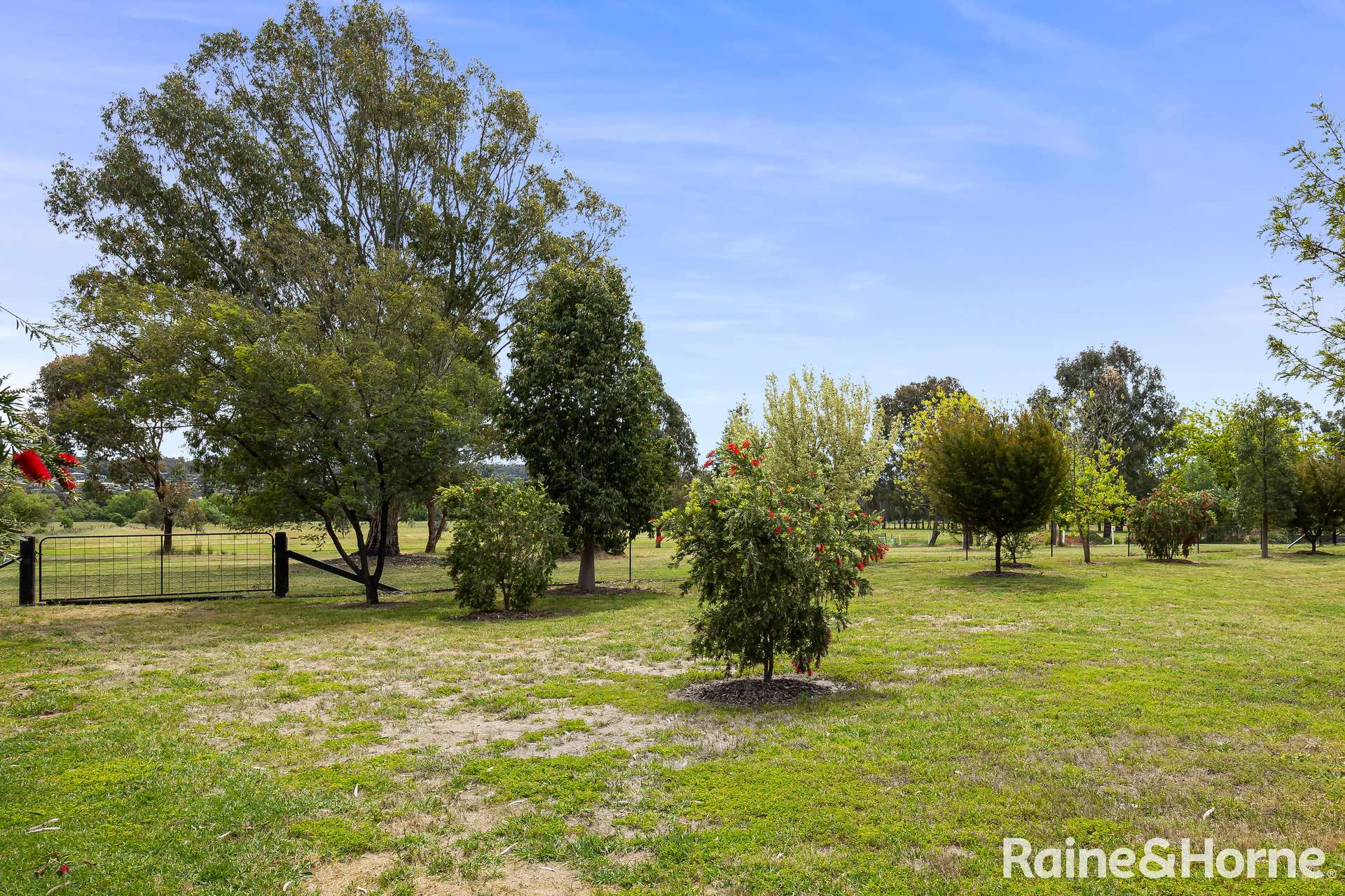17 Maple Road, Lake Albert For Sale by Farmbuy.com - image 20