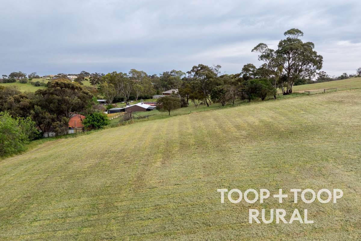 7A North Street, Angaston For Sale by Farmbuy.com - image 8