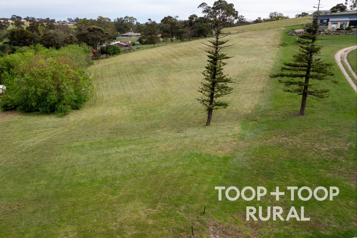 7A North Street, Angaston For Sale by Farmbuy.com - image 7