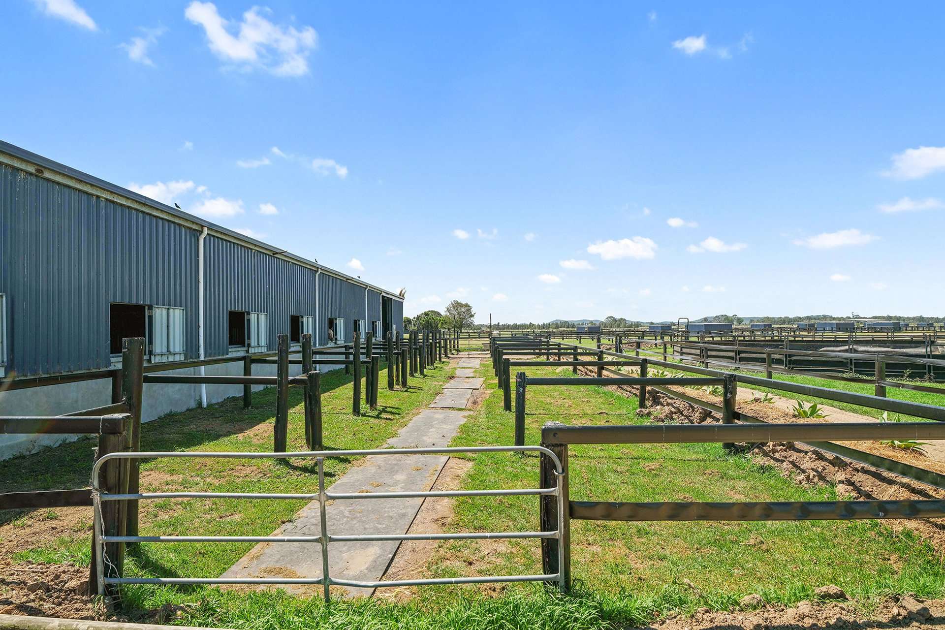 240 Scotch Creek Road, Millers Forest For Sale by Farmbuy.com - image 9