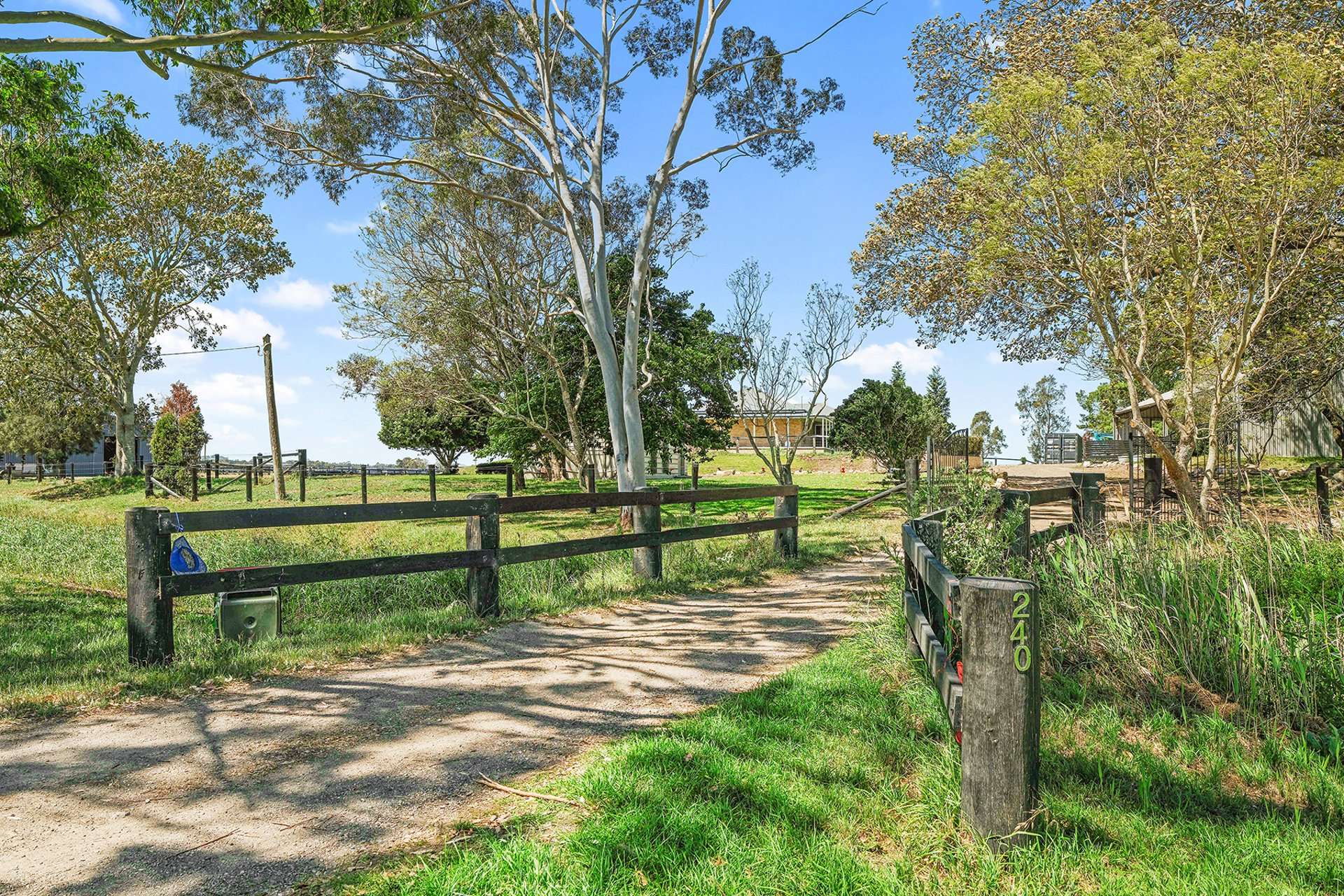 240 Scotch Creek Road, Millers Forest For Sale by Farmbuy.com - image 7