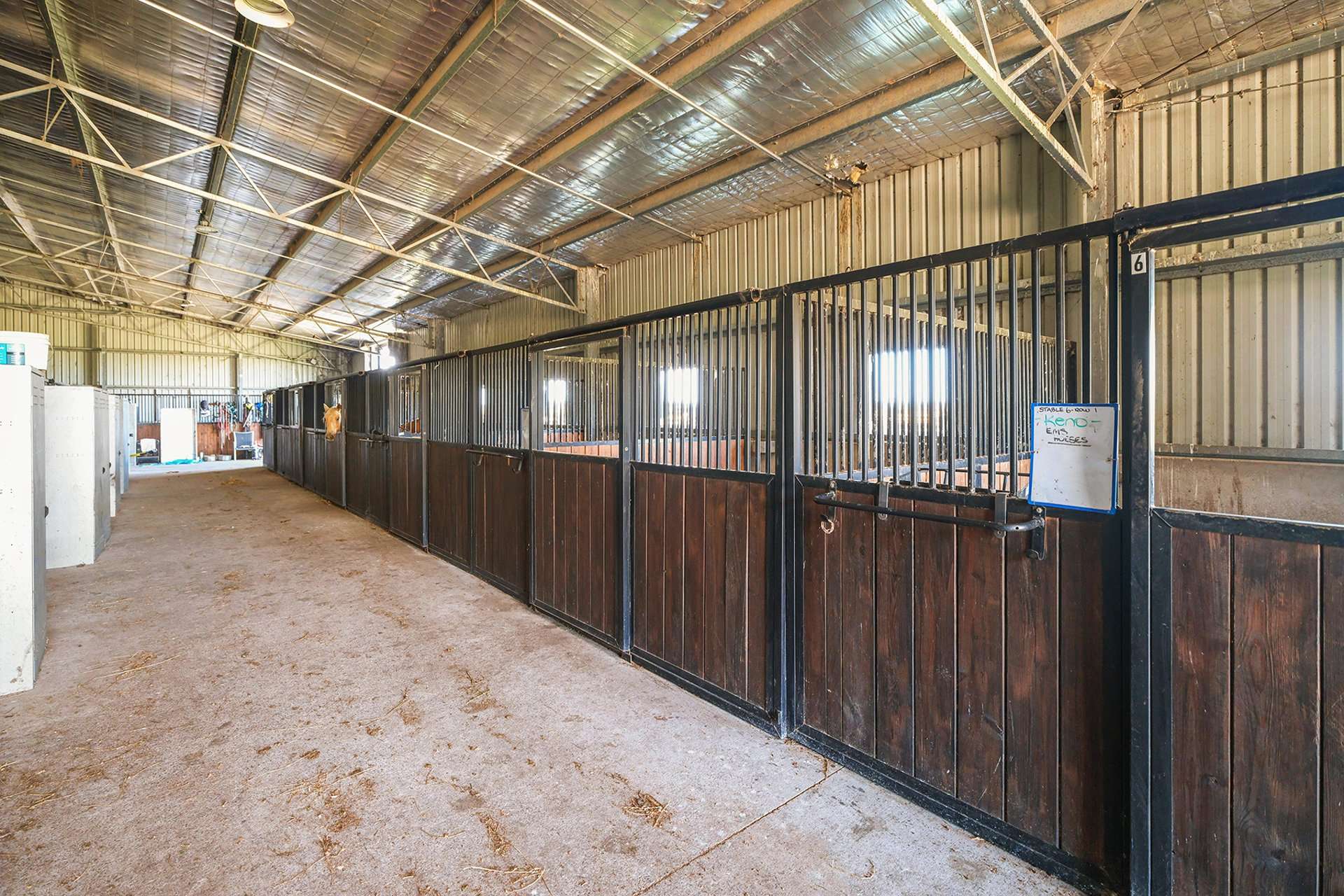 240 Scotch Creek Road, Millers Forest For Sale by Farmbuy.com - image 10