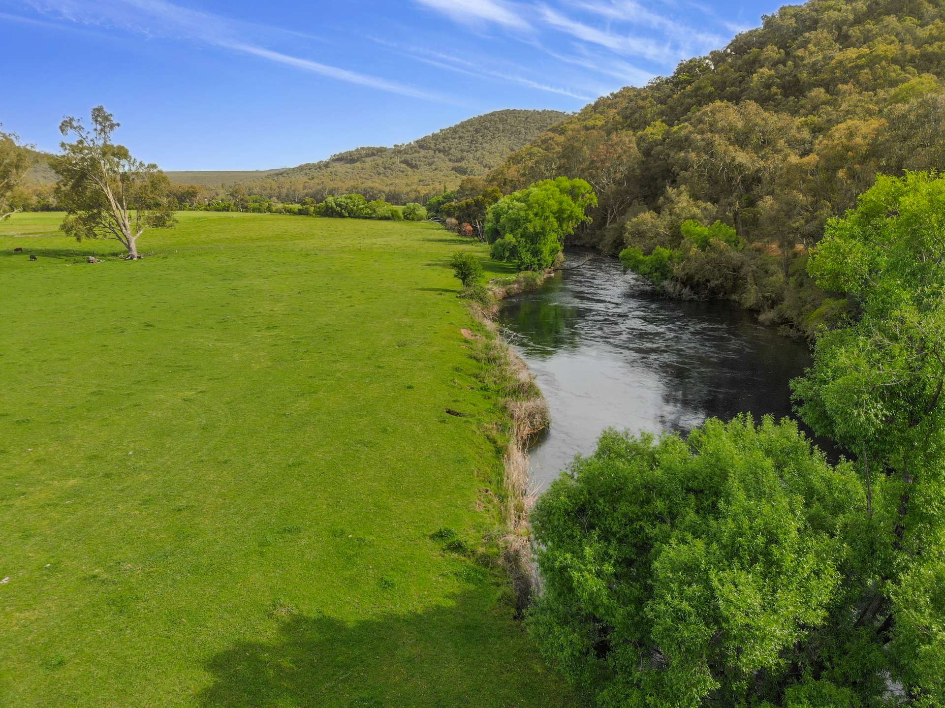 338 East Blowering Road, Tumut Auction by Farmbuy.com - image 2