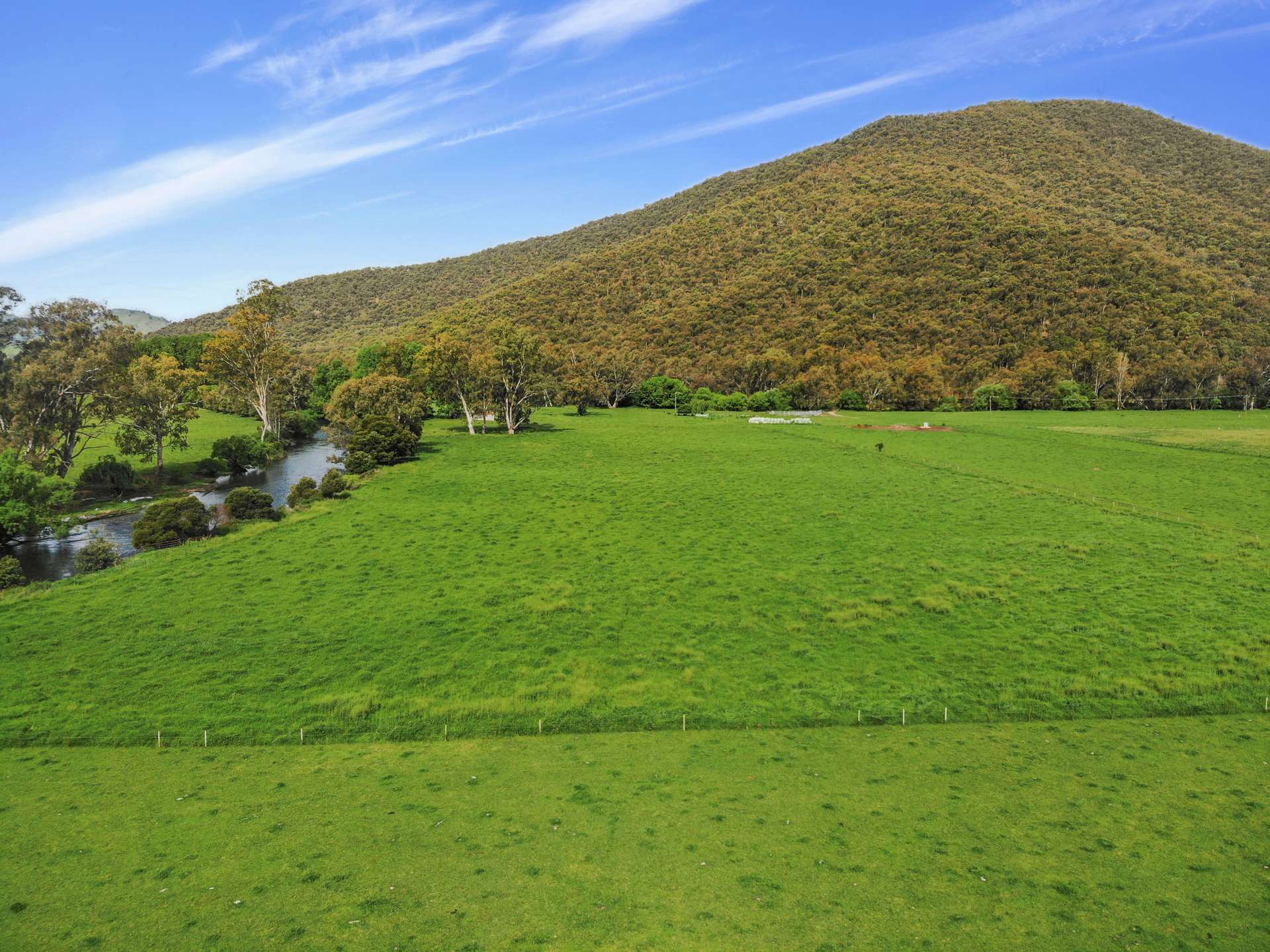 338 East Blowering Road, Tumut Auction by Farmbuy.com - image 18