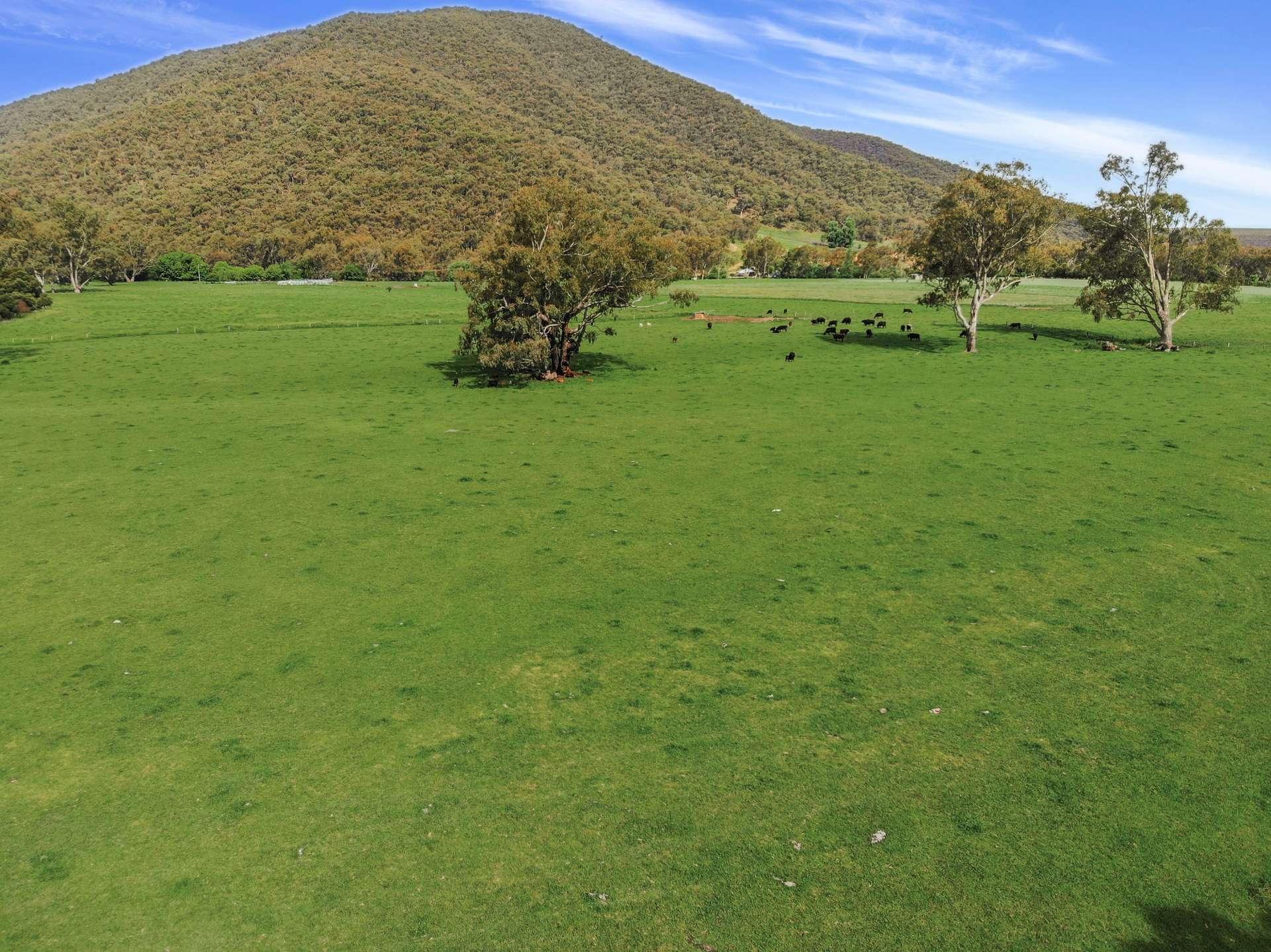 338 East Blowering Road, Tumut Auction by Farmbuy.com - image 17