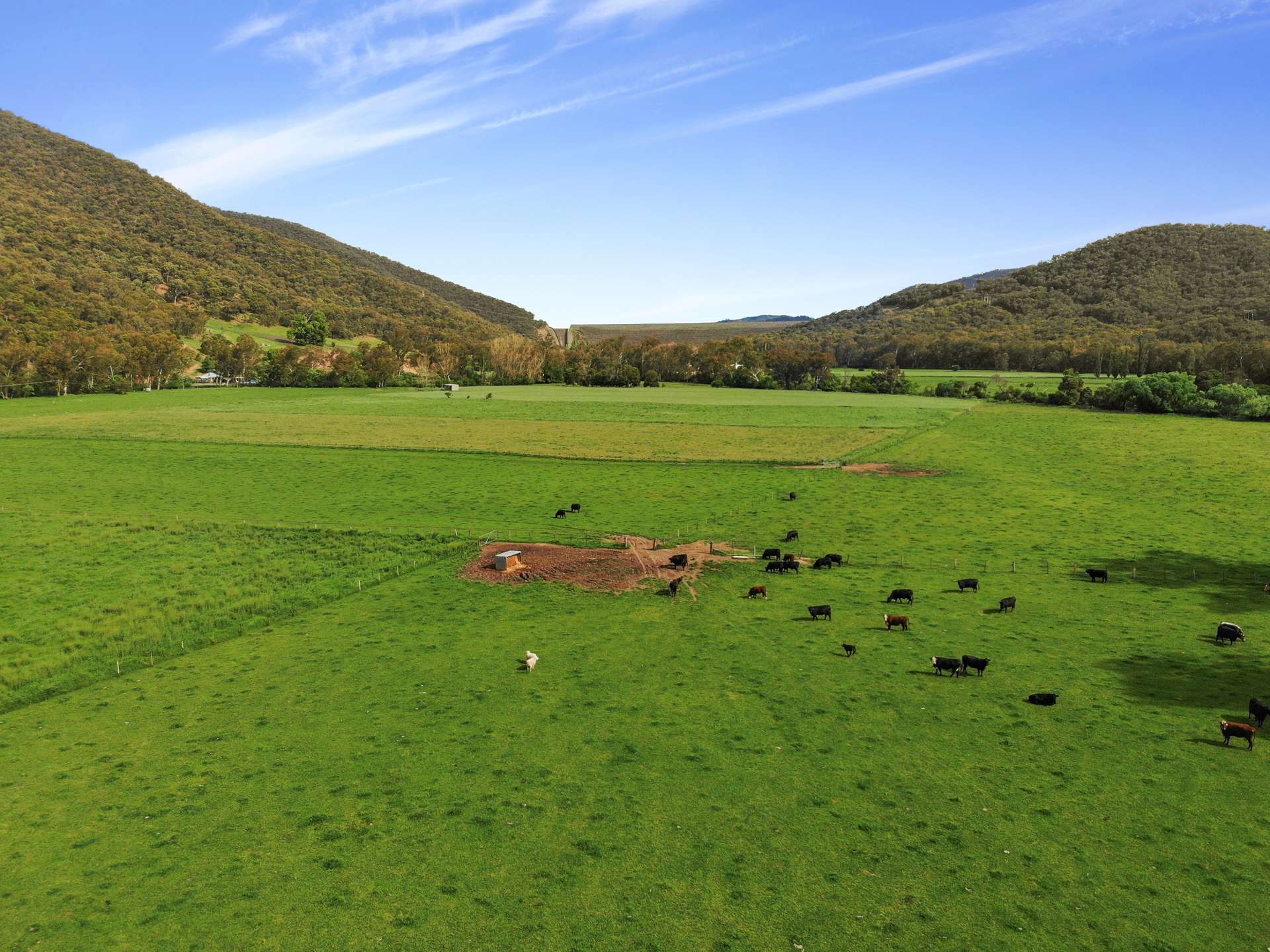 338 East Blowering Road, Tumut Auction by Farmbuy.com - image 19