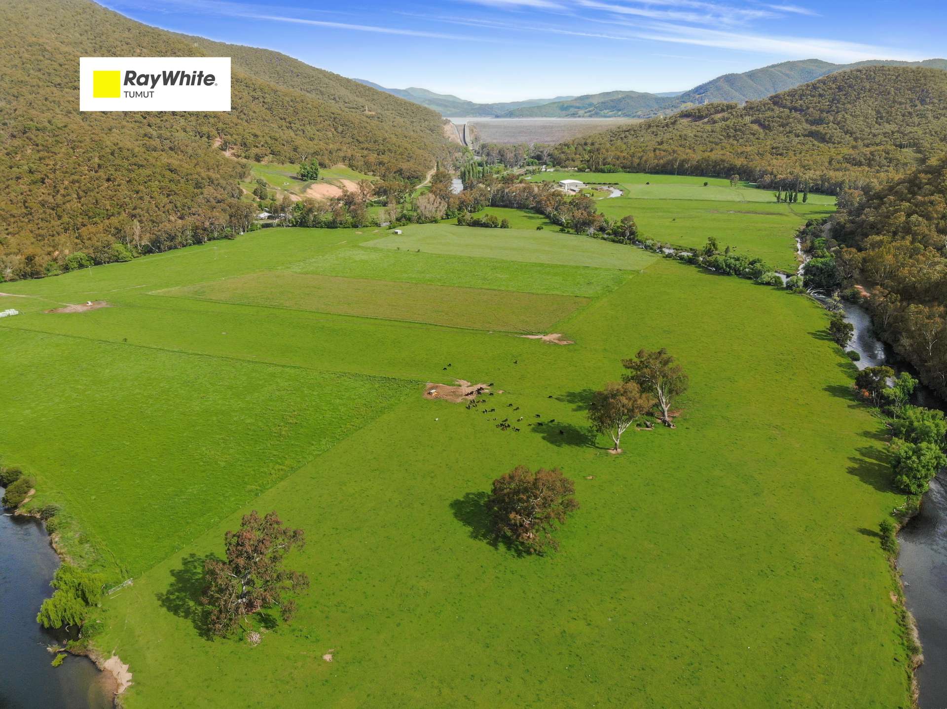 338 East Blowering Road, Tumut Auction by Farmbuy.com - image 1