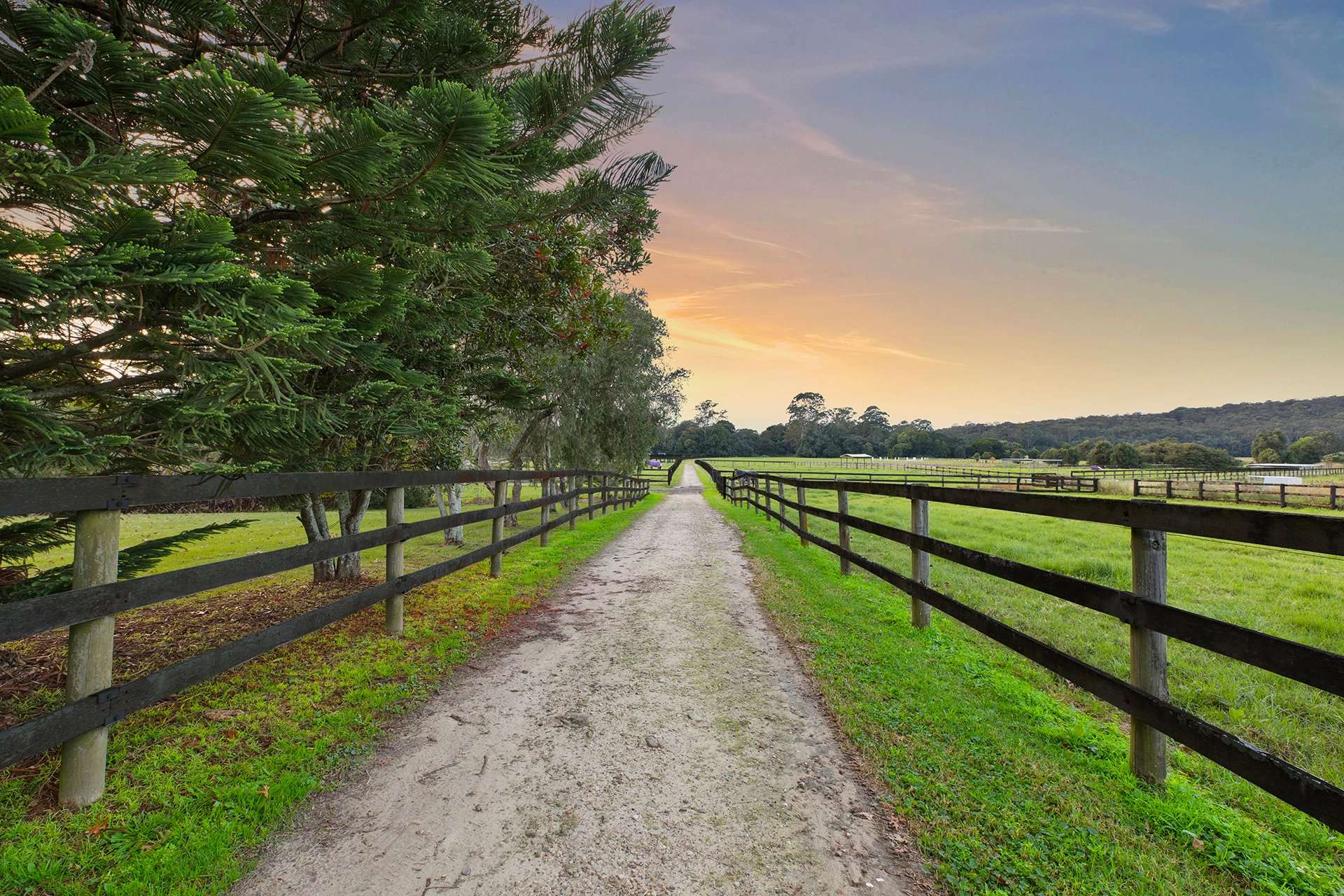 319 Jilliby Road, Jilliby For Sale by Farmbuy.com - image 3