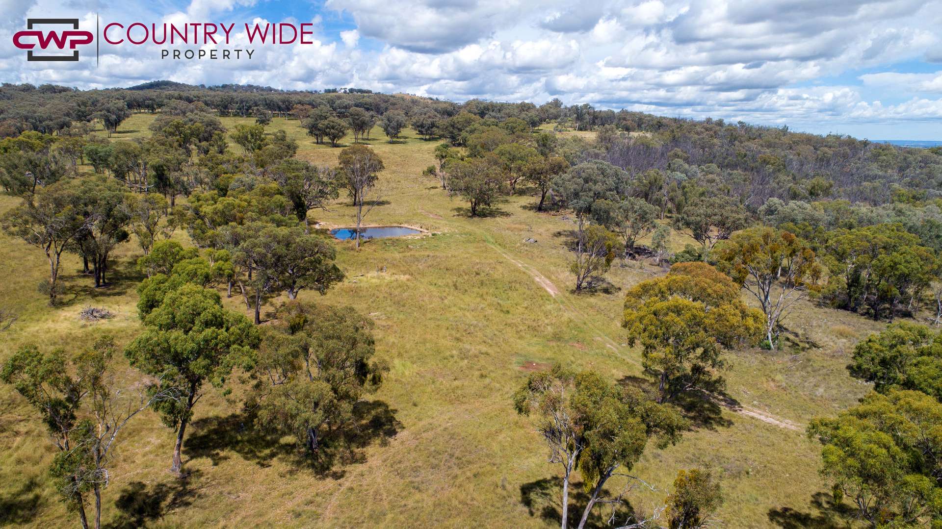 170 Northcotts Road, Glen Innes For Sale by Farmbuy.com - image 6
