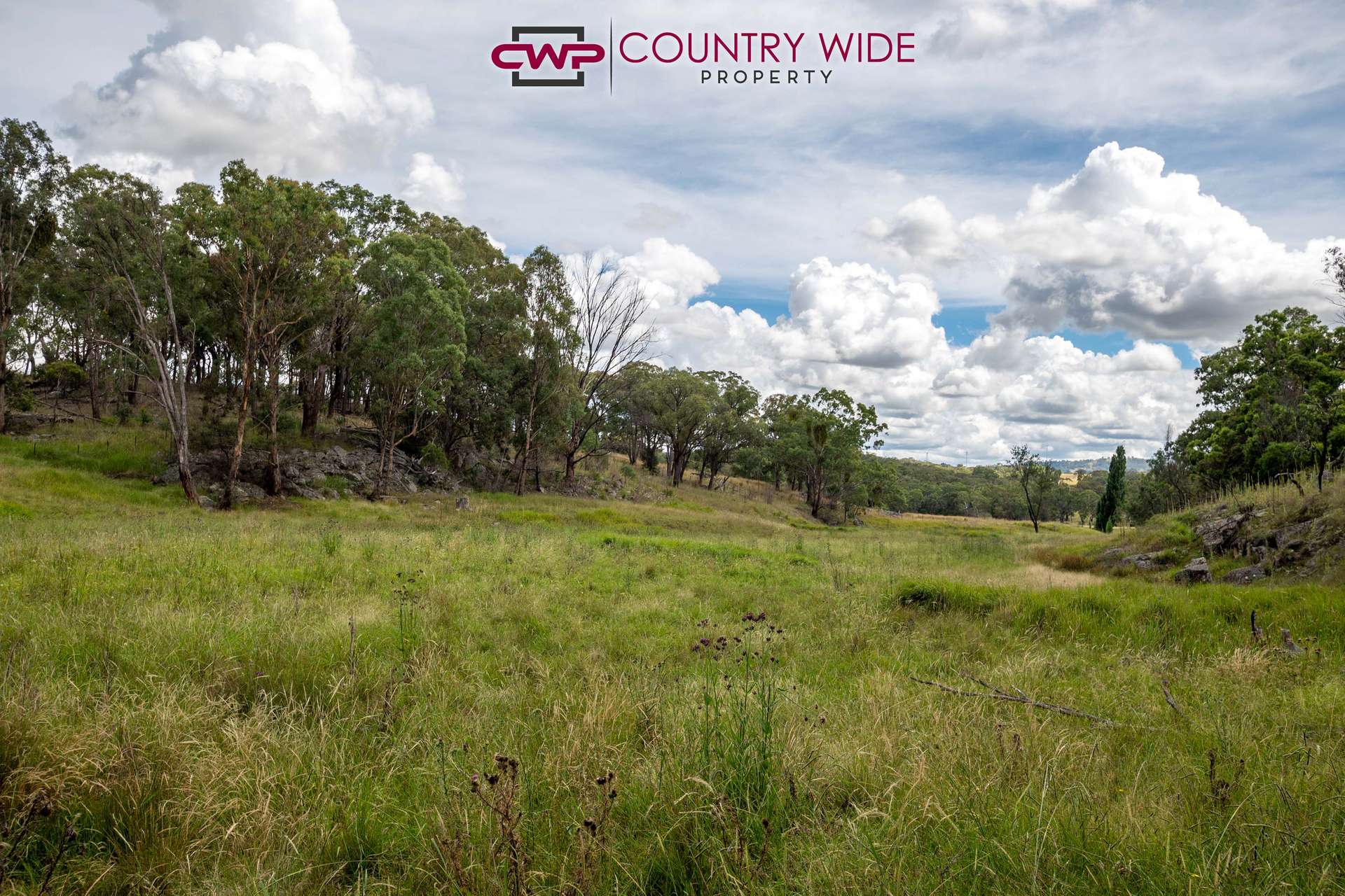 170 Northcotts Road, Glen Innes For Sale by Farmbuy.com - image 19