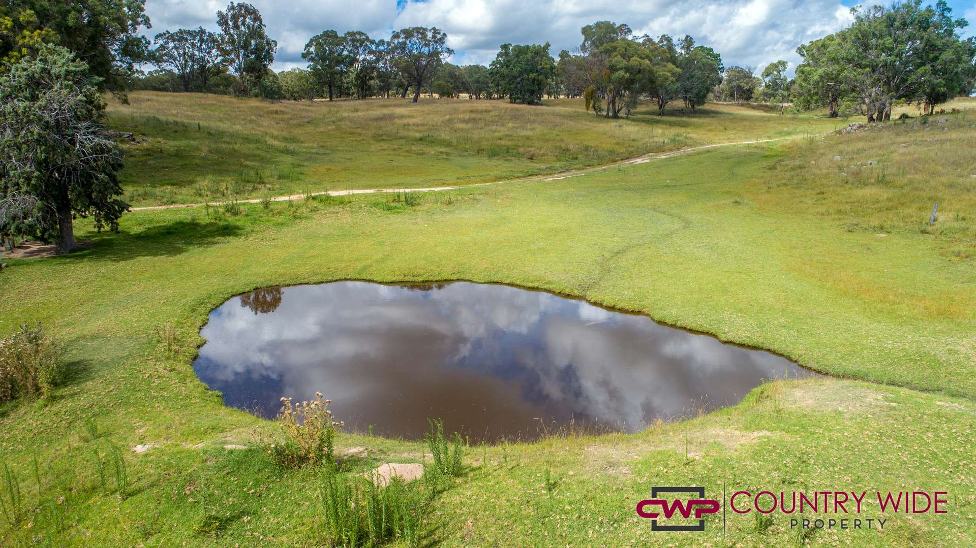 170 Northcotts Road, Glen Innes For Sale by Farmbuy.com - image 5