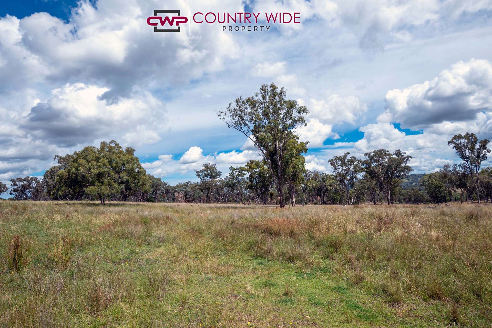 170 Northcotts Road, Glen Innes For Sale by Farmbuy.com - image 21