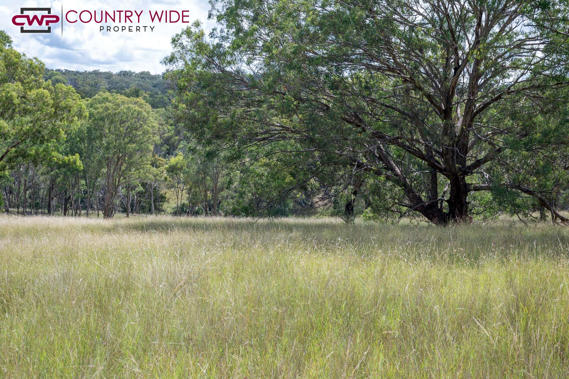 170 Northcotts Road, Glen Innes For Sale by Farmbuy.com - image 18