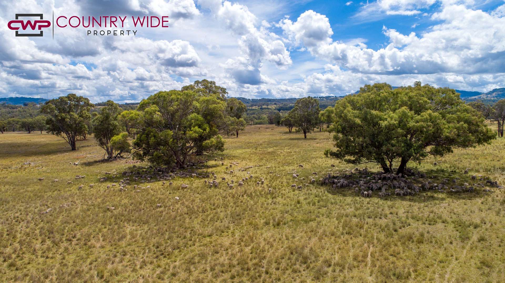 170 Northcotts Road, Glen Innes For Sale by Farmbuy.com - image 3