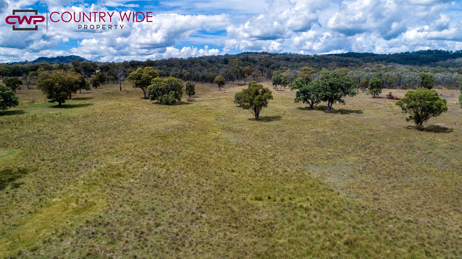 170 Northcotts Road, Glen Innes For Sale by Farmbuy.com - image 7