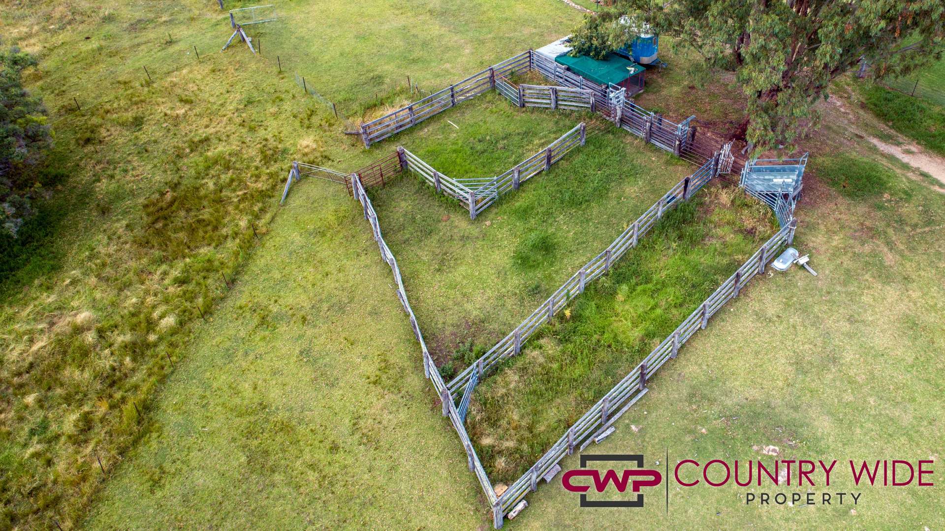 170 Northcotts Road, Glen Innes For Sale by Farmbuy.com - image 4