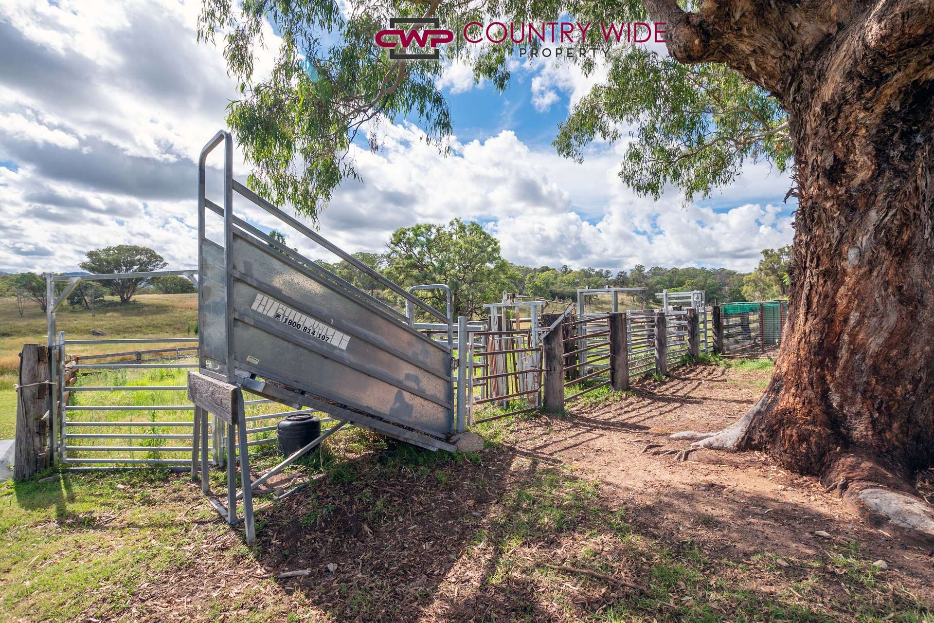 170 Northcotts Road, Glen Innes For Sale by Farmbuy.com - image 23