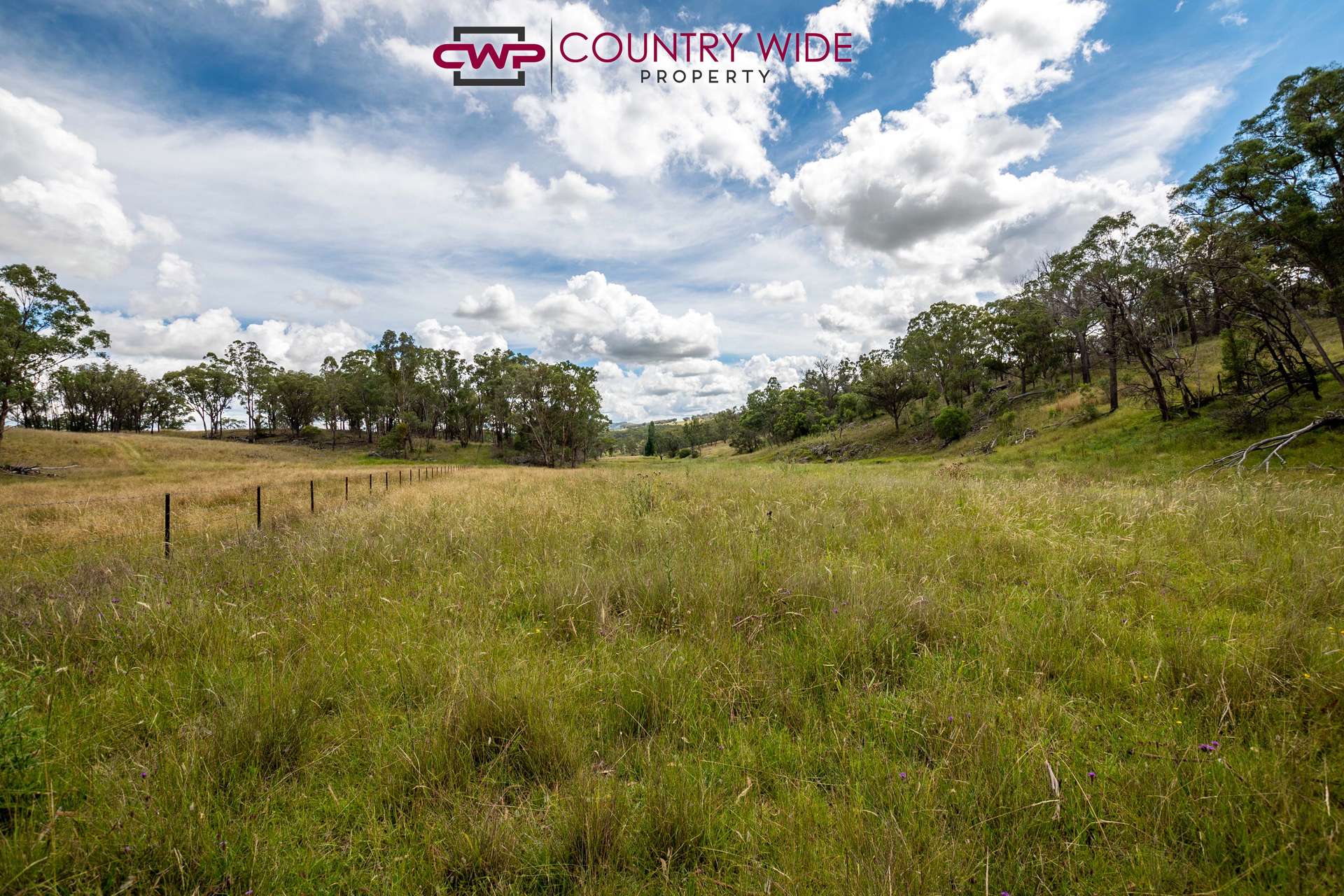 170 Northcotts Road, Glen Innes For Sale by Farmbuy.com - image 22