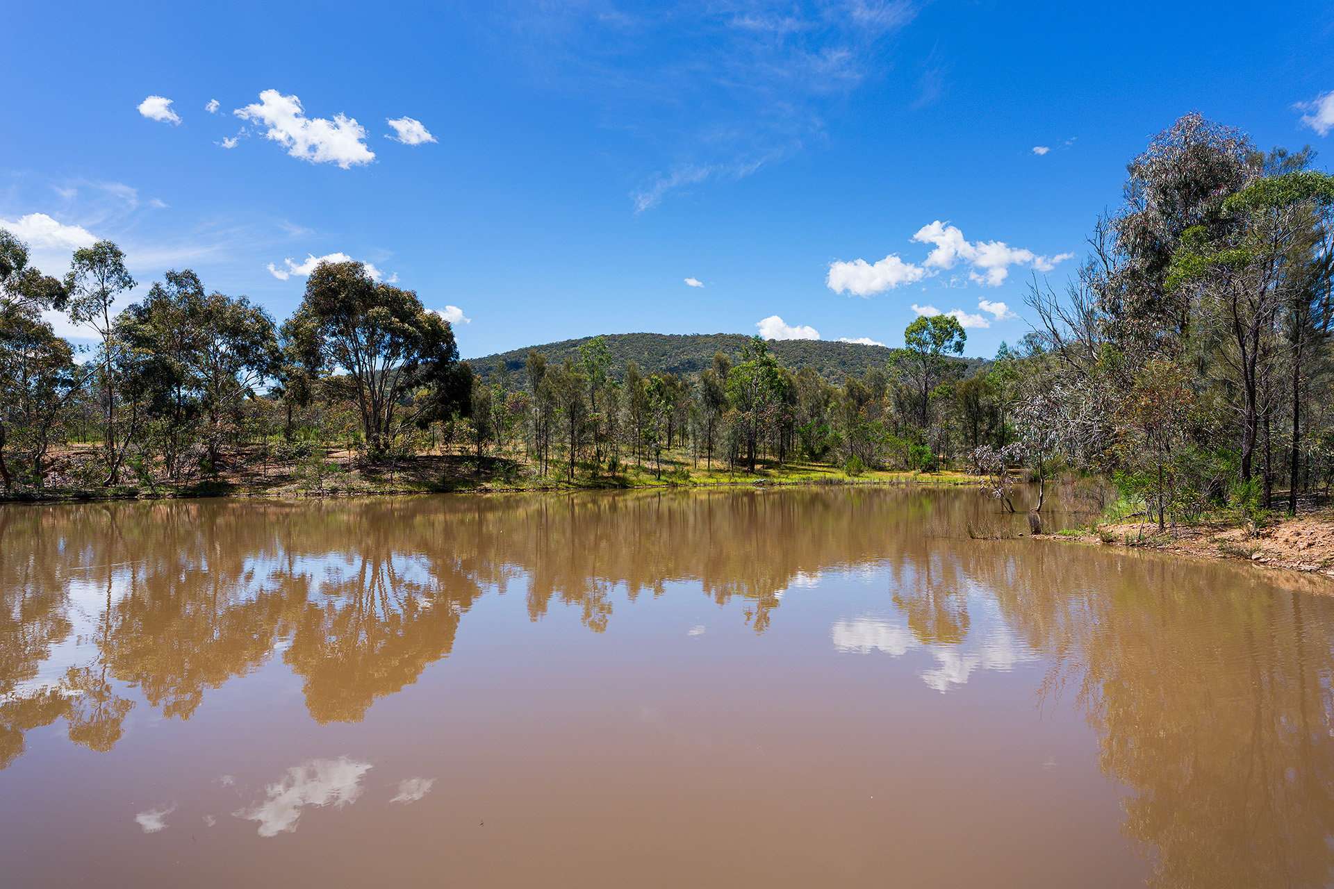 518 Mount Back Road, Tarrengower For Sale by Farmbuy.com - image 18