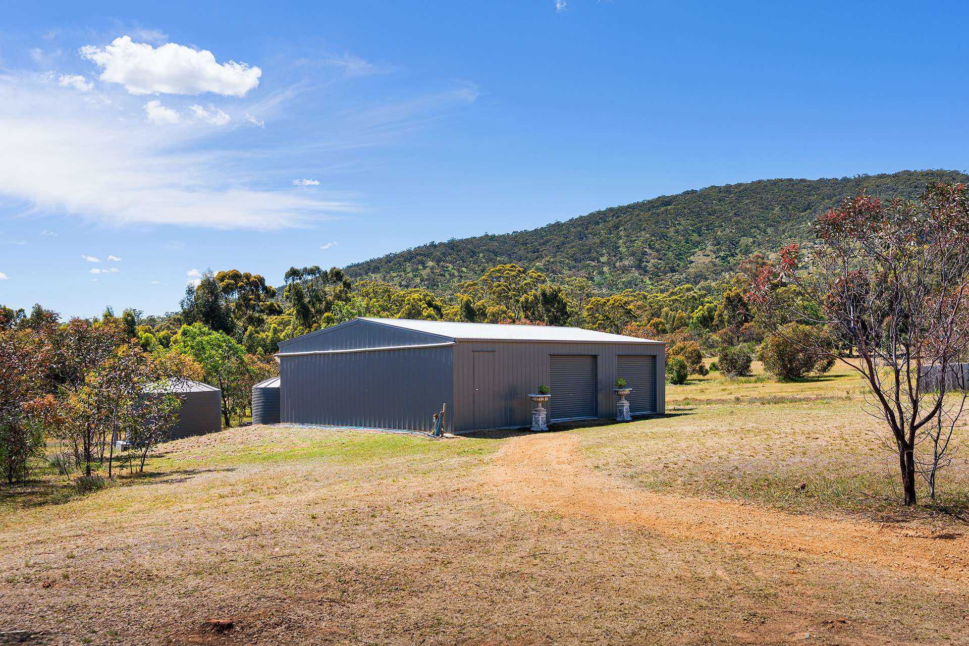 518 Mount Back Road, Tarrengower For Sale by Farmbuy.com - image 15